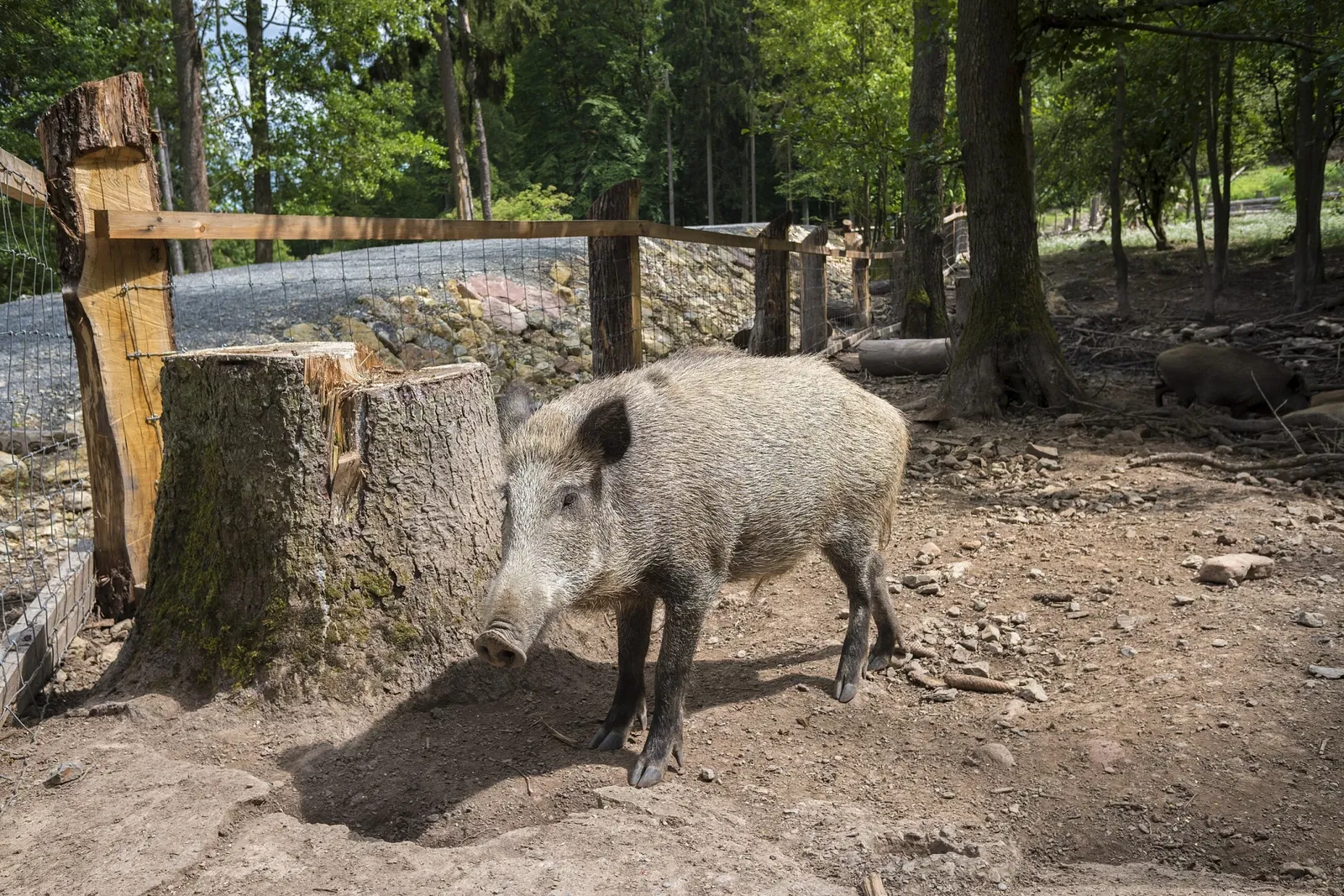 Wildpark Klaushof