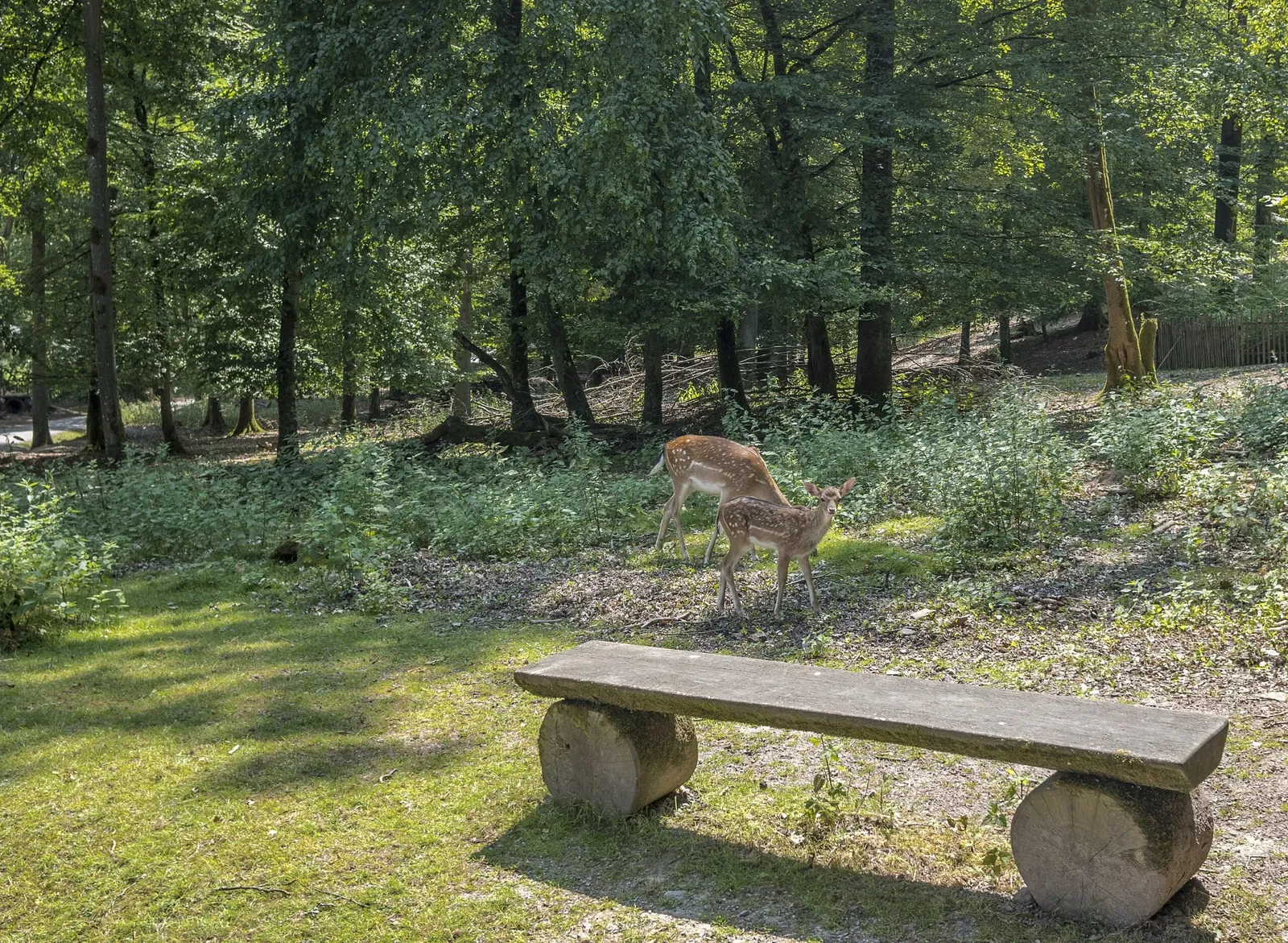 Wildpark Klaushof