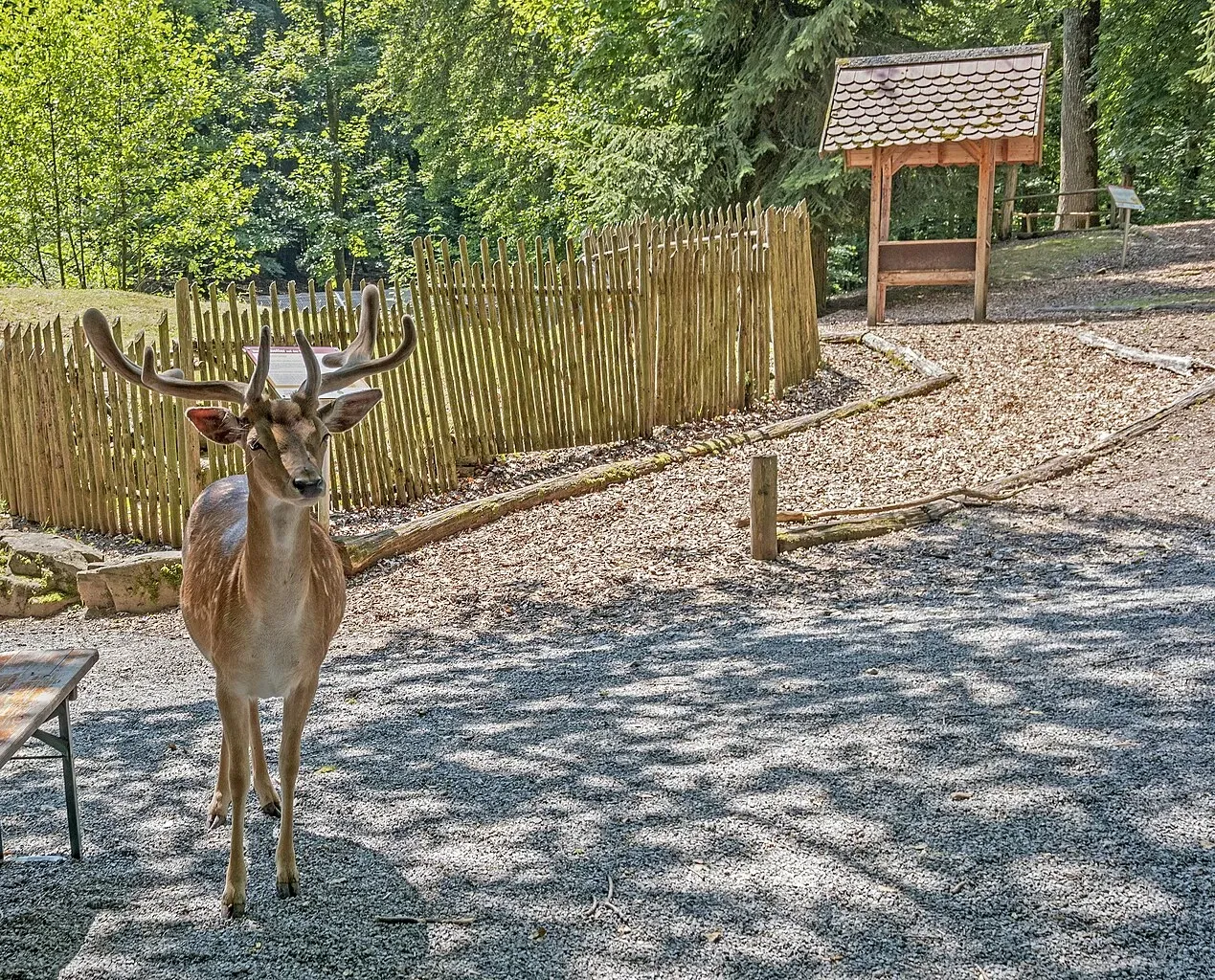 Wildpark Klaushof