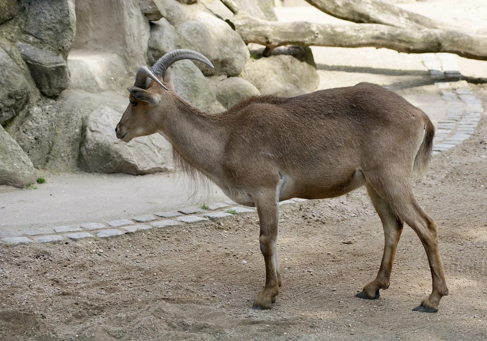 Tierpark Gettorf