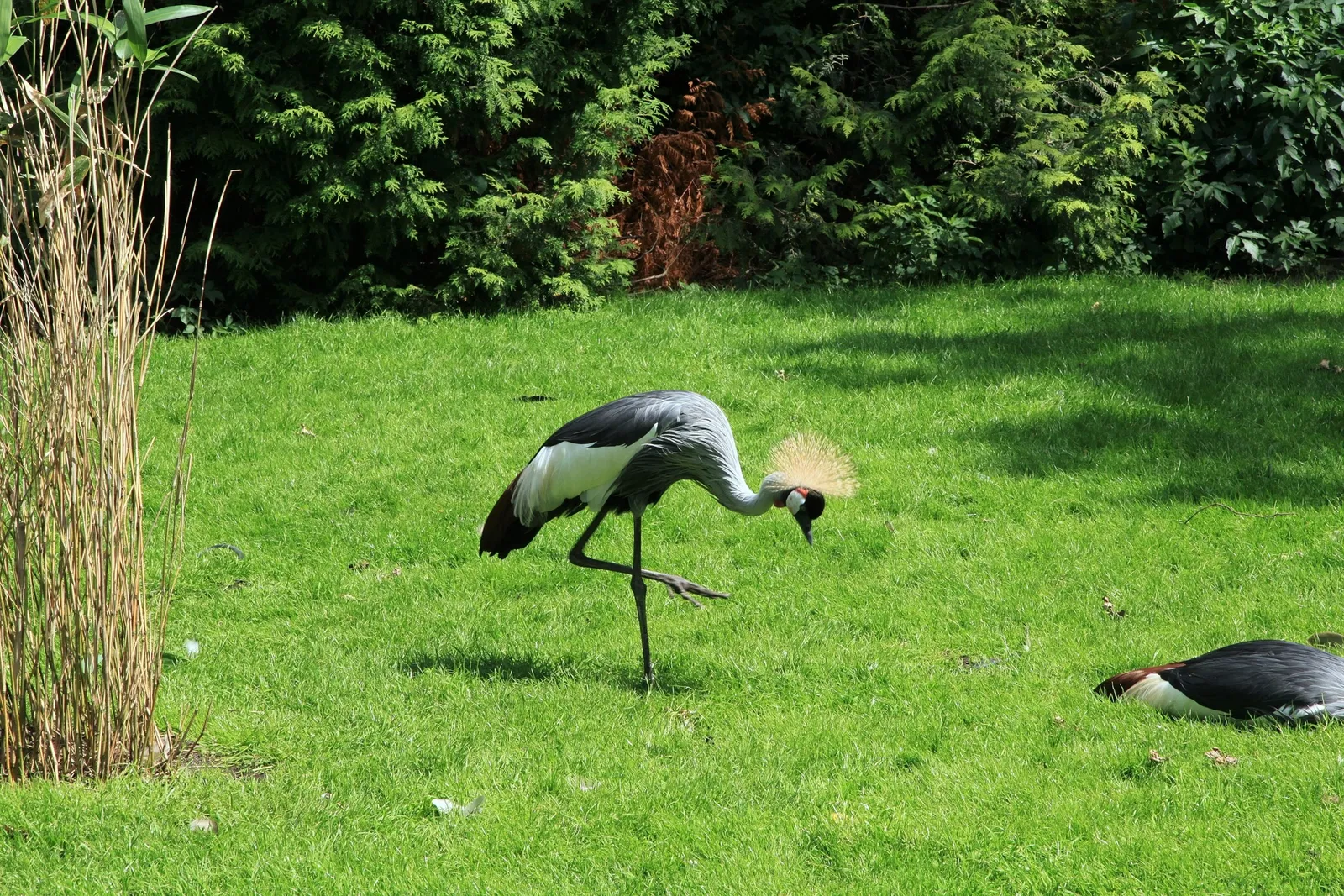 Tierpark Gettorf