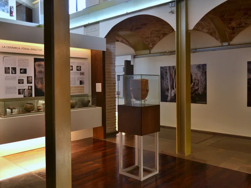 https://image.wmsm.co/67e8ec075efd7/archaeological-museum-of-gandia-gandia.webp?aspect_ratio=800%3A600&height=600&quality=80&width=800