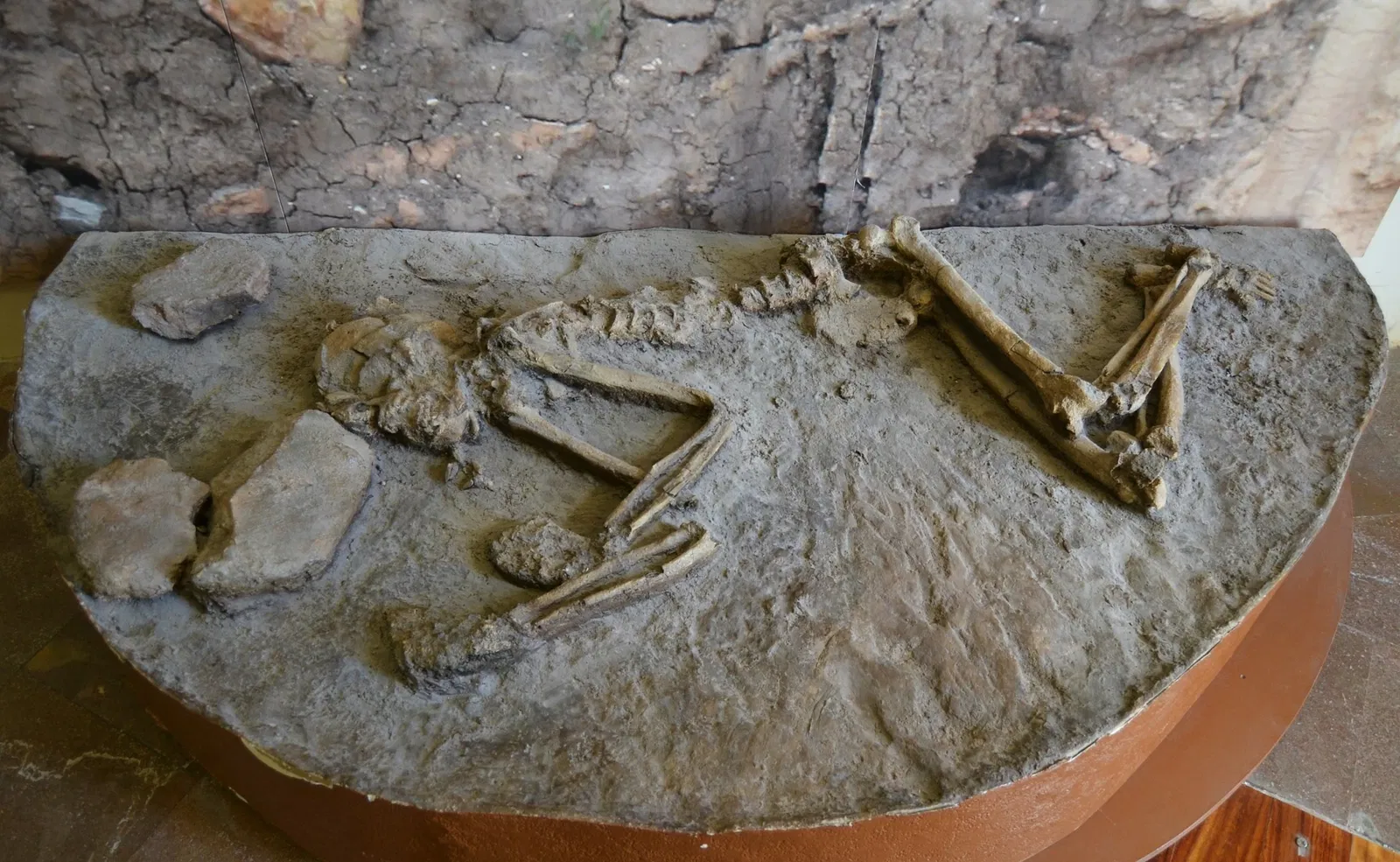 Archaeological Museum of Gandia