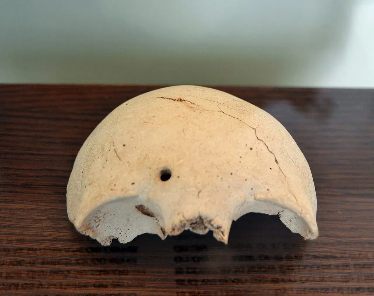 Museo Arqueológico de Gandía