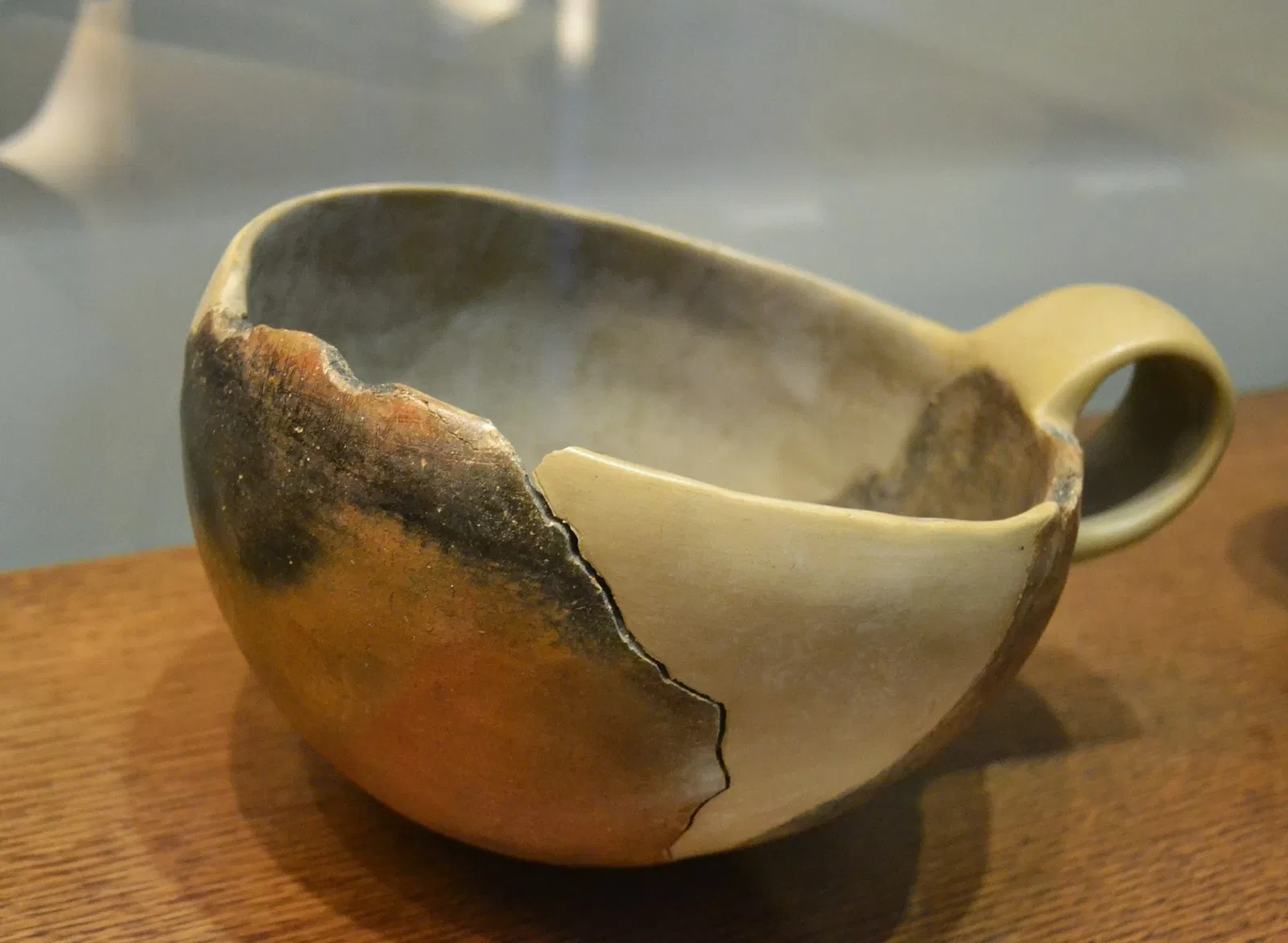 Museo Arqueológico de Gandía