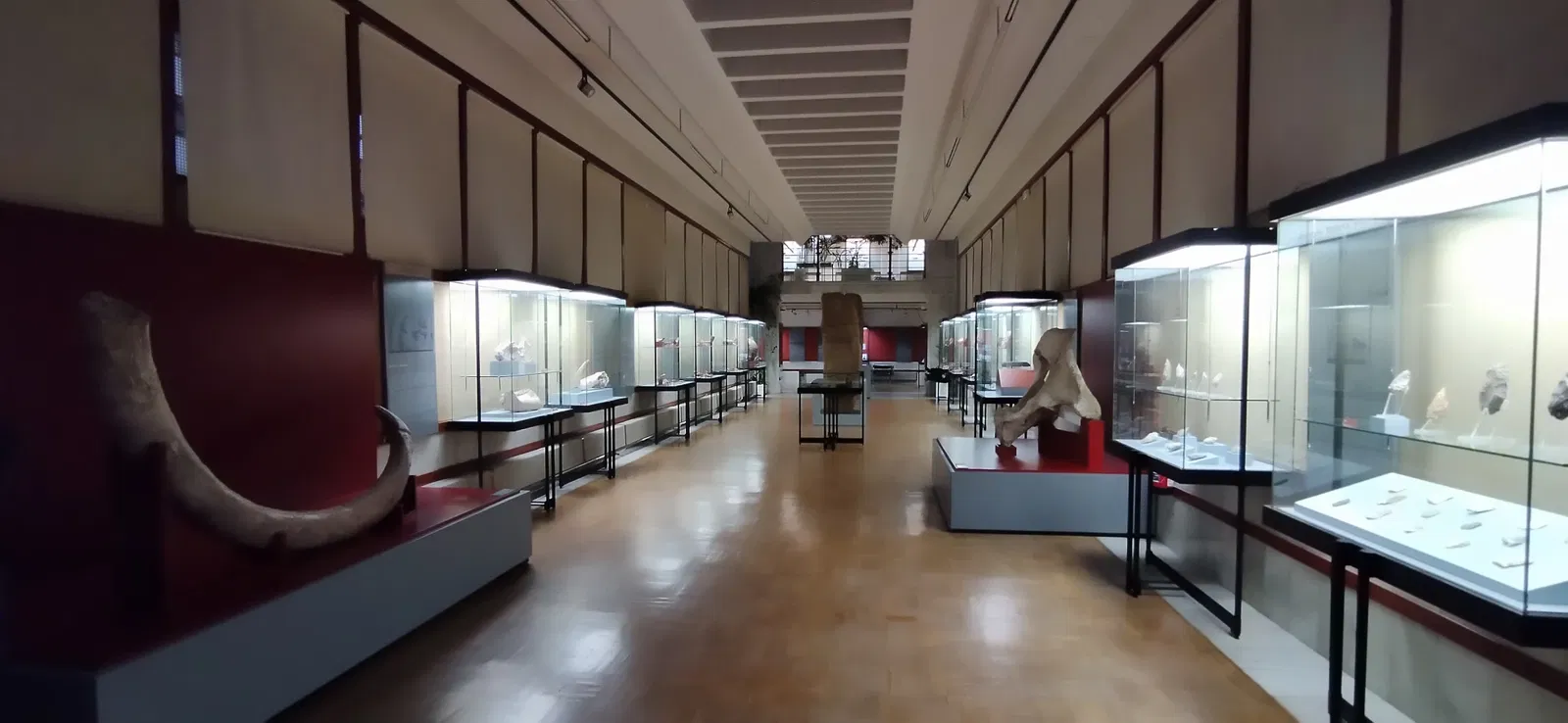 Numantine Museum of Soria