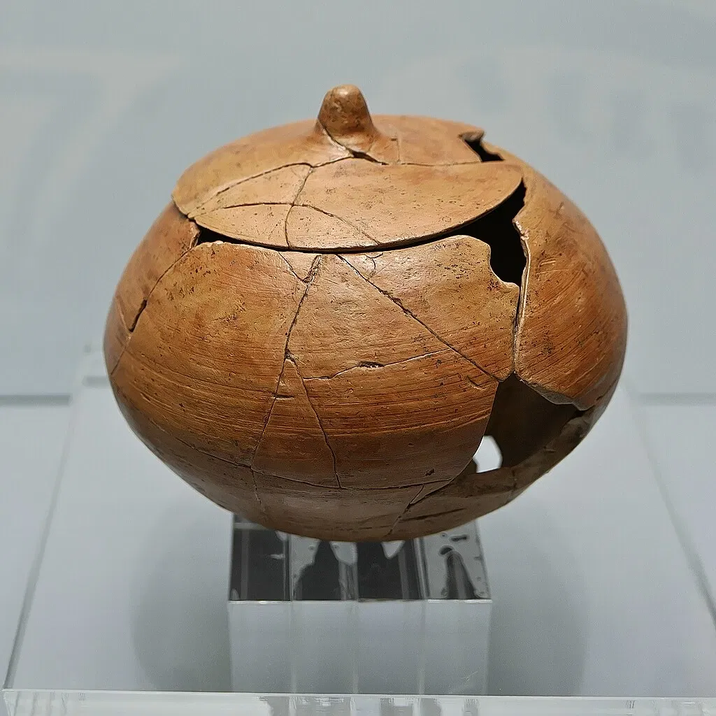 Museo Numantino de Soria