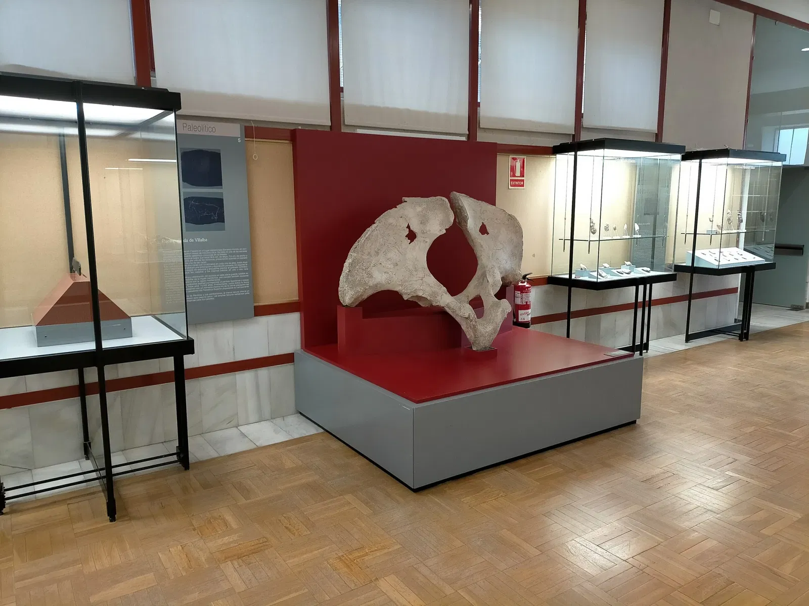 Museo Numantino de Soria