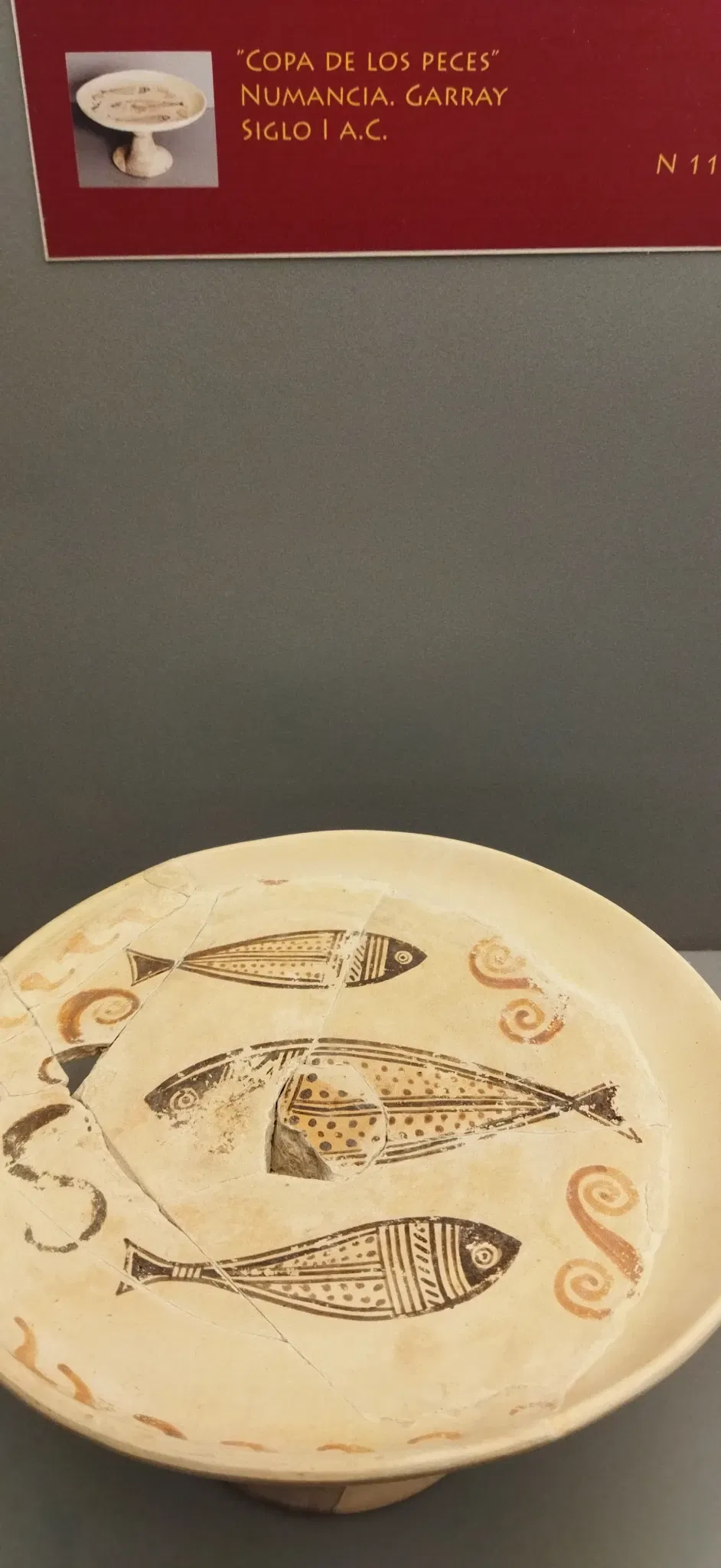 Museo Numantino de Soria