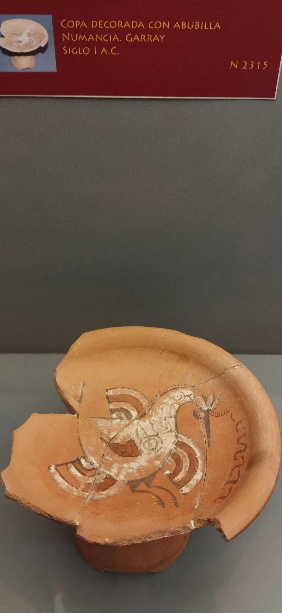 Museo Numantino de Soria