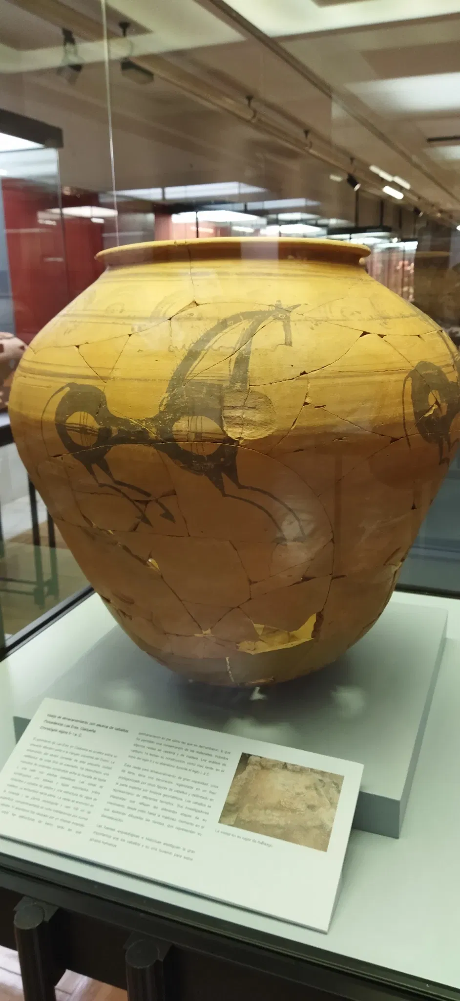 Museo Numantino de Soria