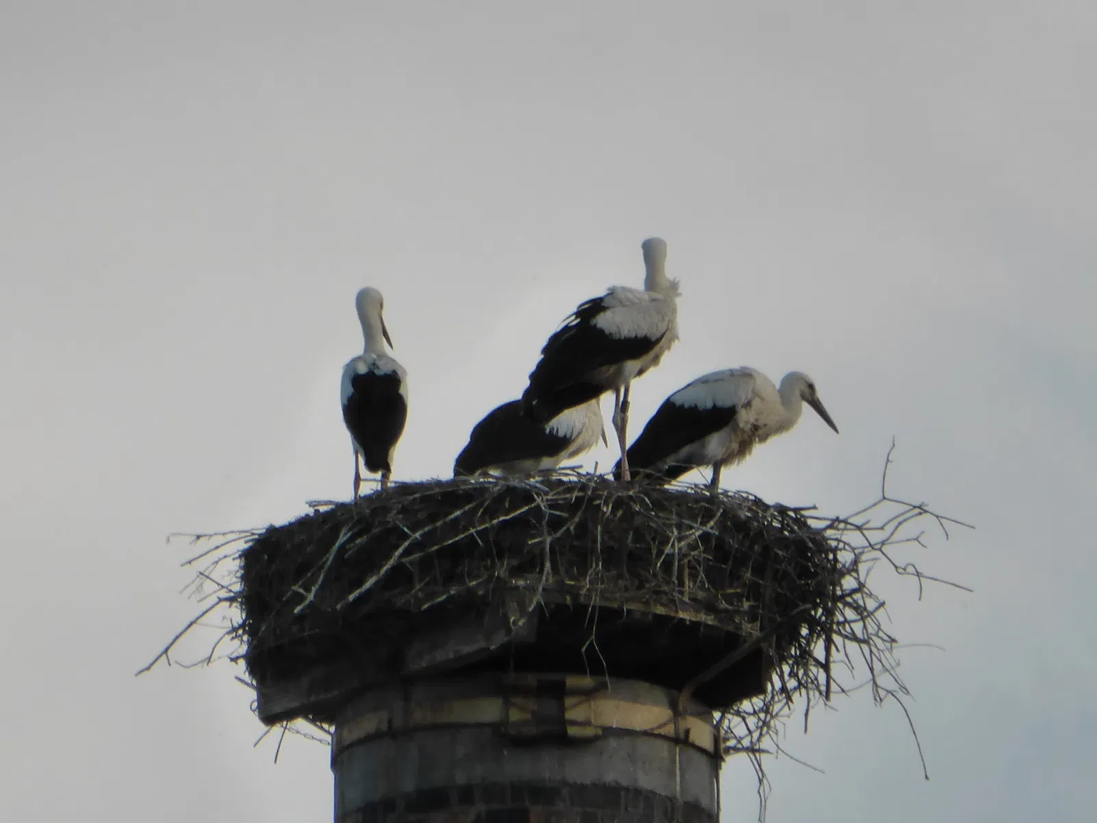 Ziegeleimuseum Sondernheim
