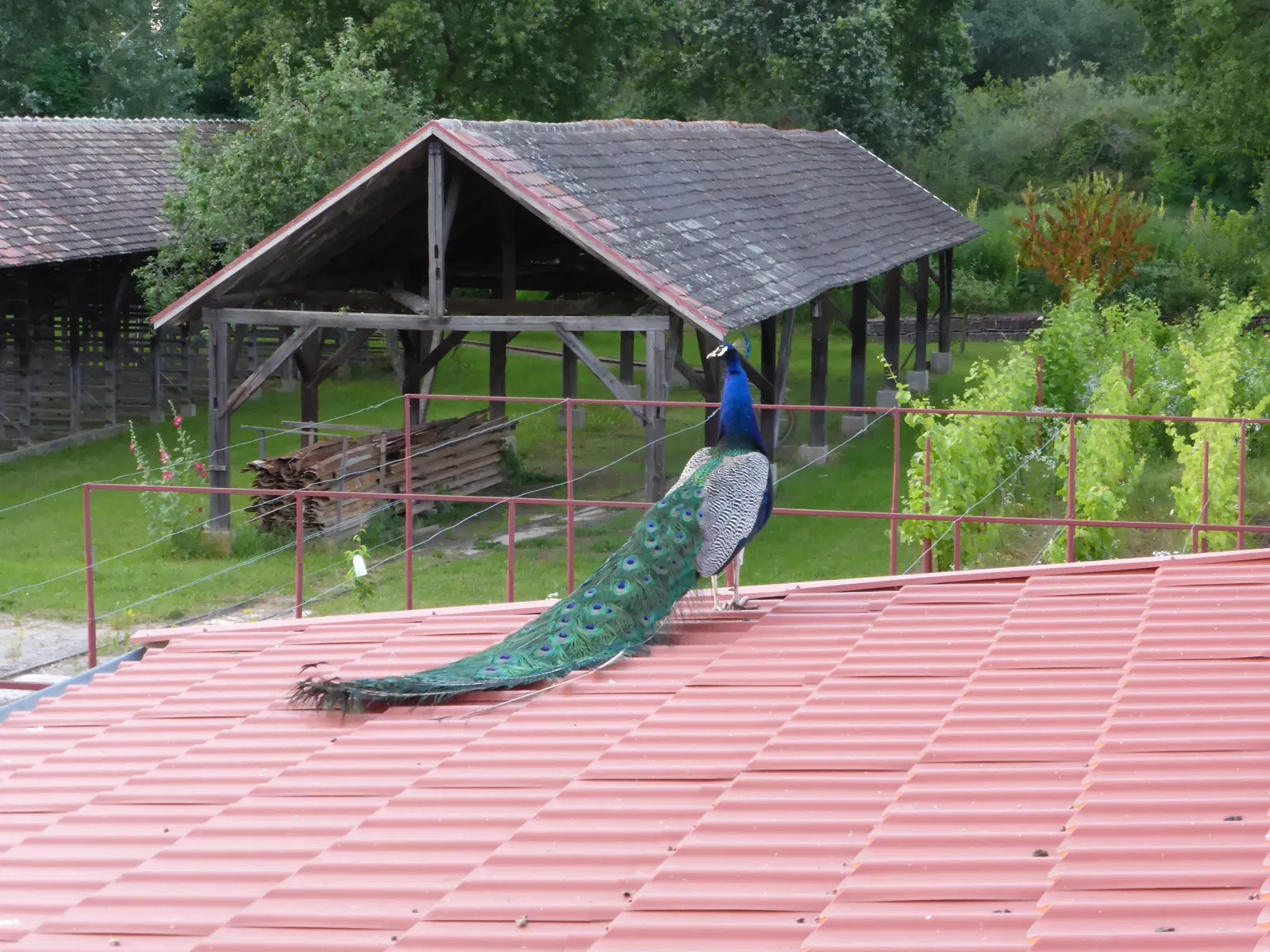 Ziegeleimuseum Sondernheim