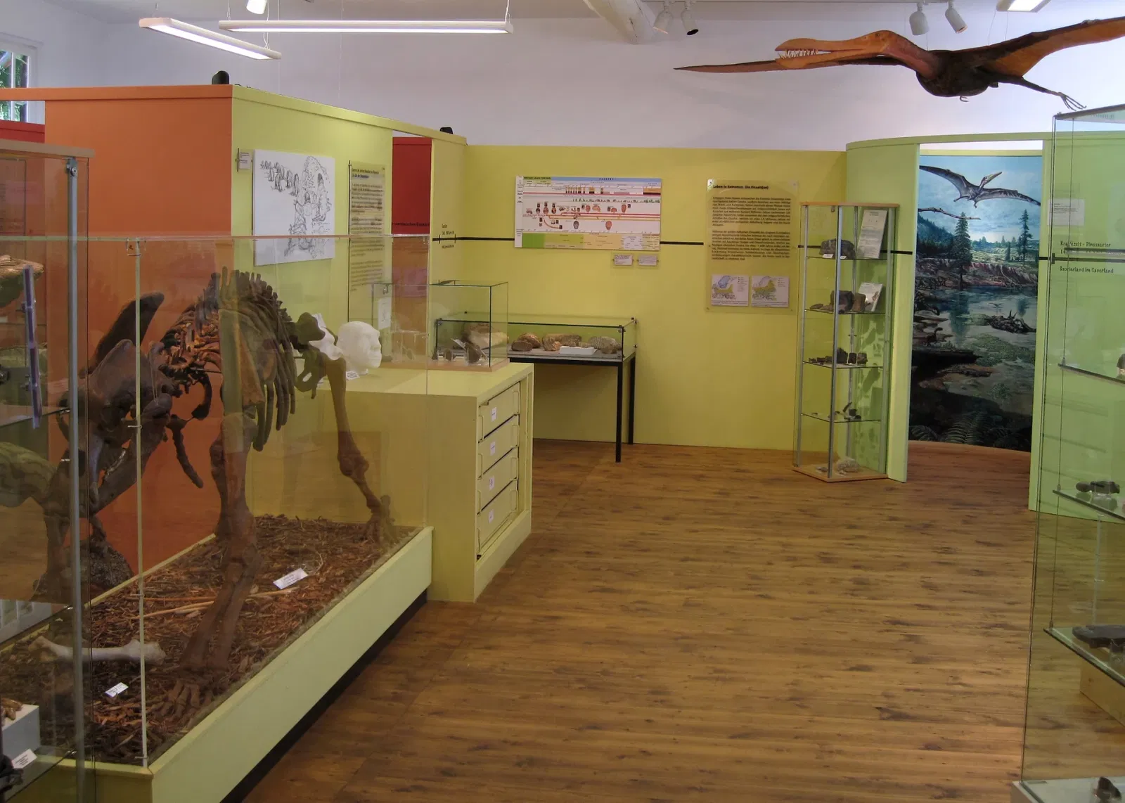 Museum für Vor- und Frühgeschichte