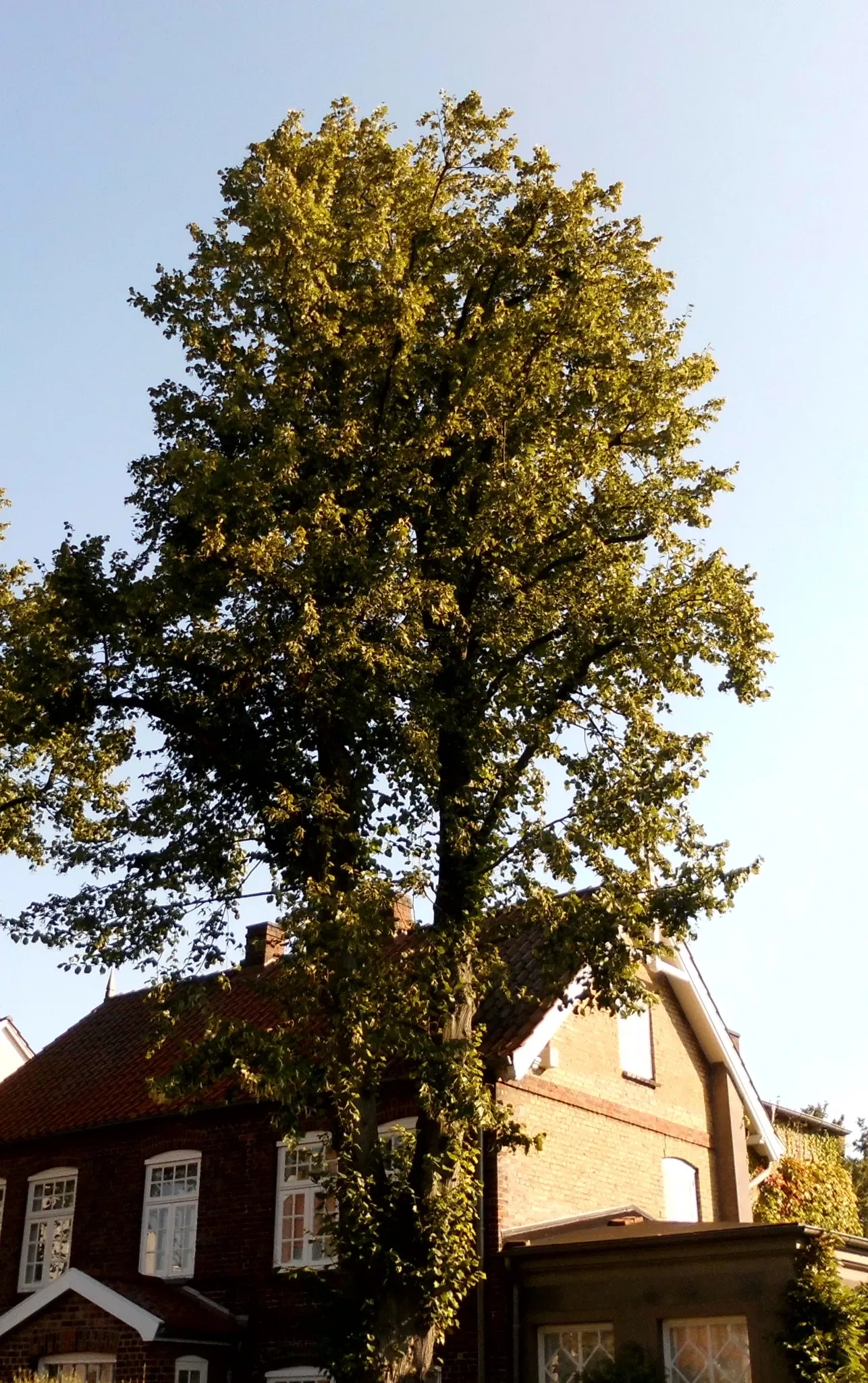 Künstlermuseum Heikendorf