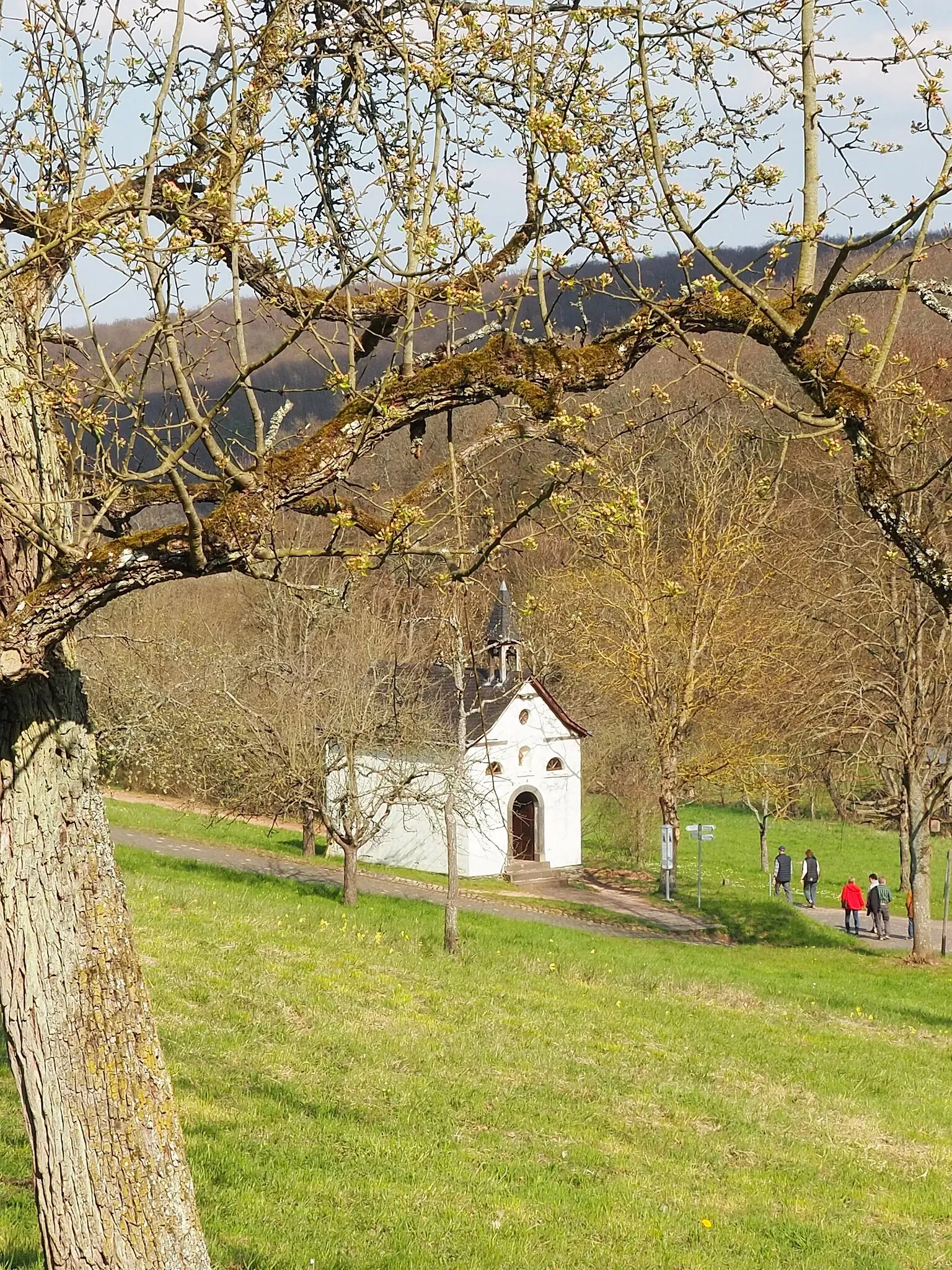 Rheinland-Pfälzisches Freilichtmuseum Bad Sobernheim