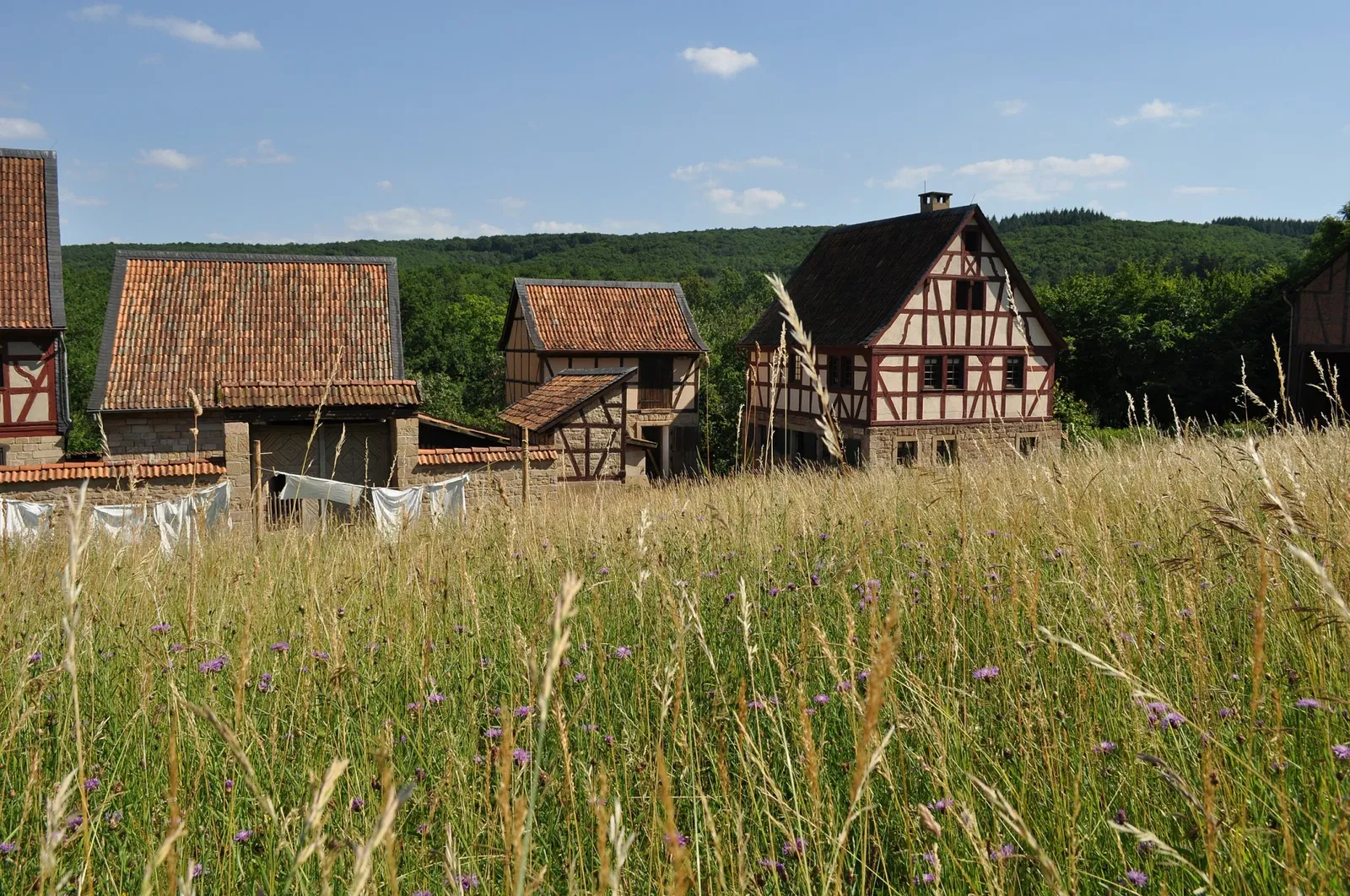 Rheinland-Pfälzisches Freilichtmuseum Bad Sobernheim