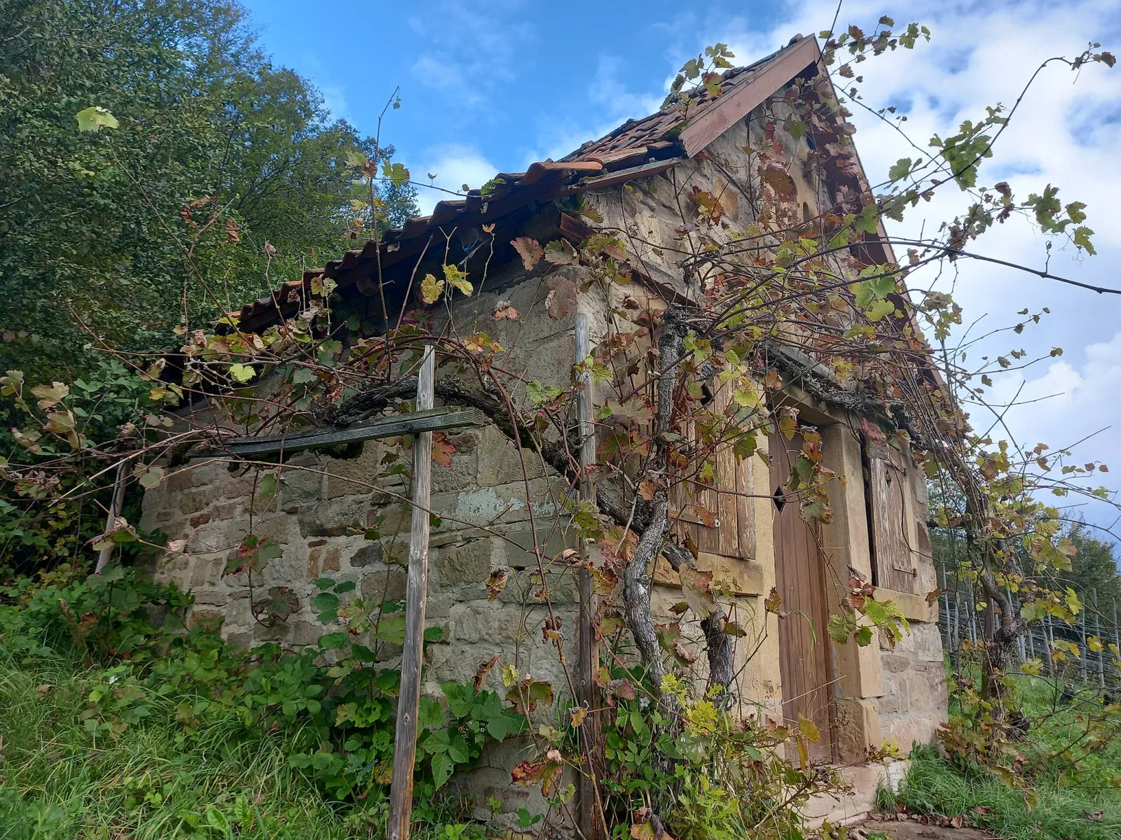 Rheinland-Pfälzisches Freilichtmuseum Bad Sobernheim