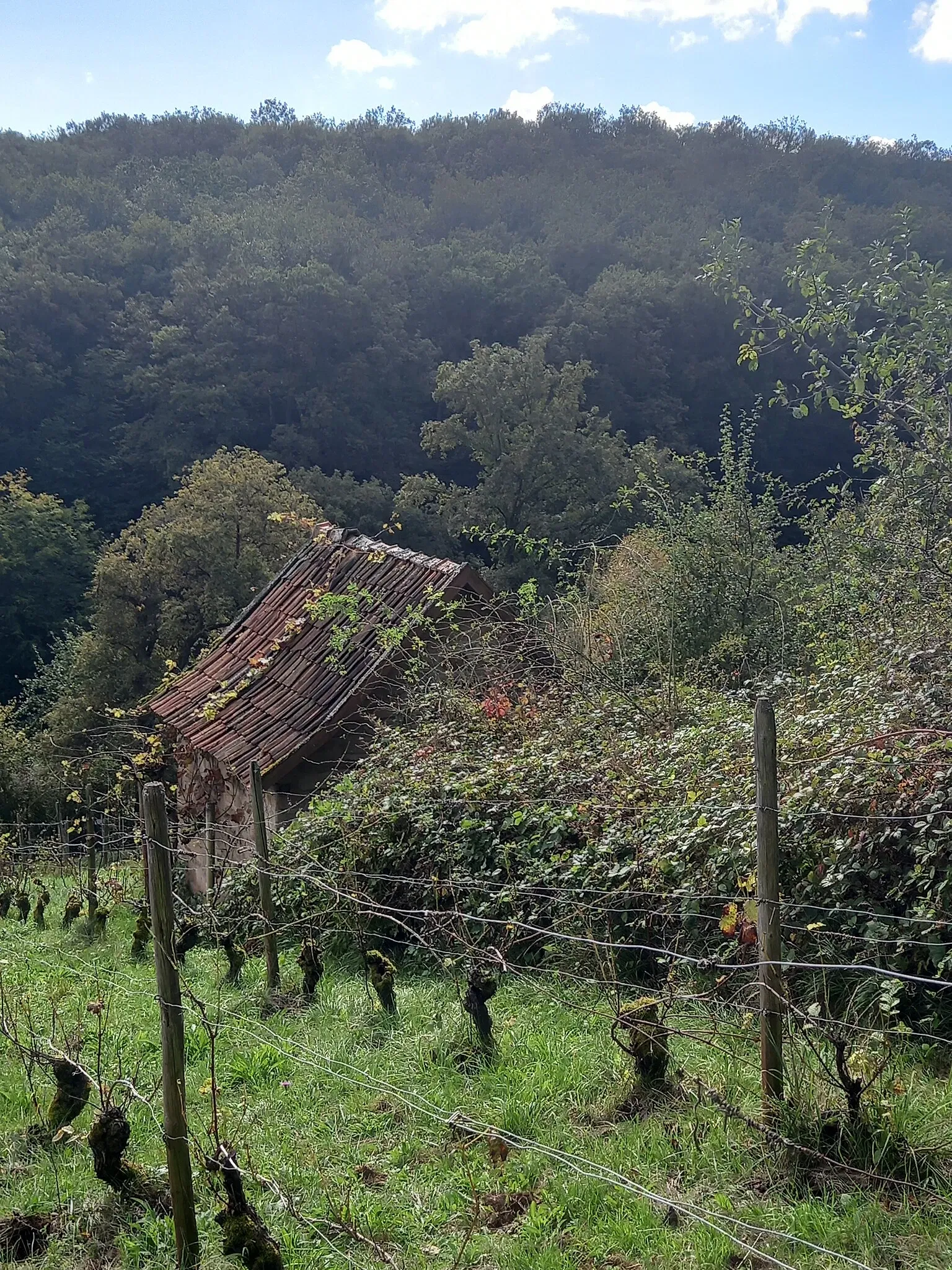 Rheinland-Pfälzisches Freilichtmuseum Bad Sobernheim