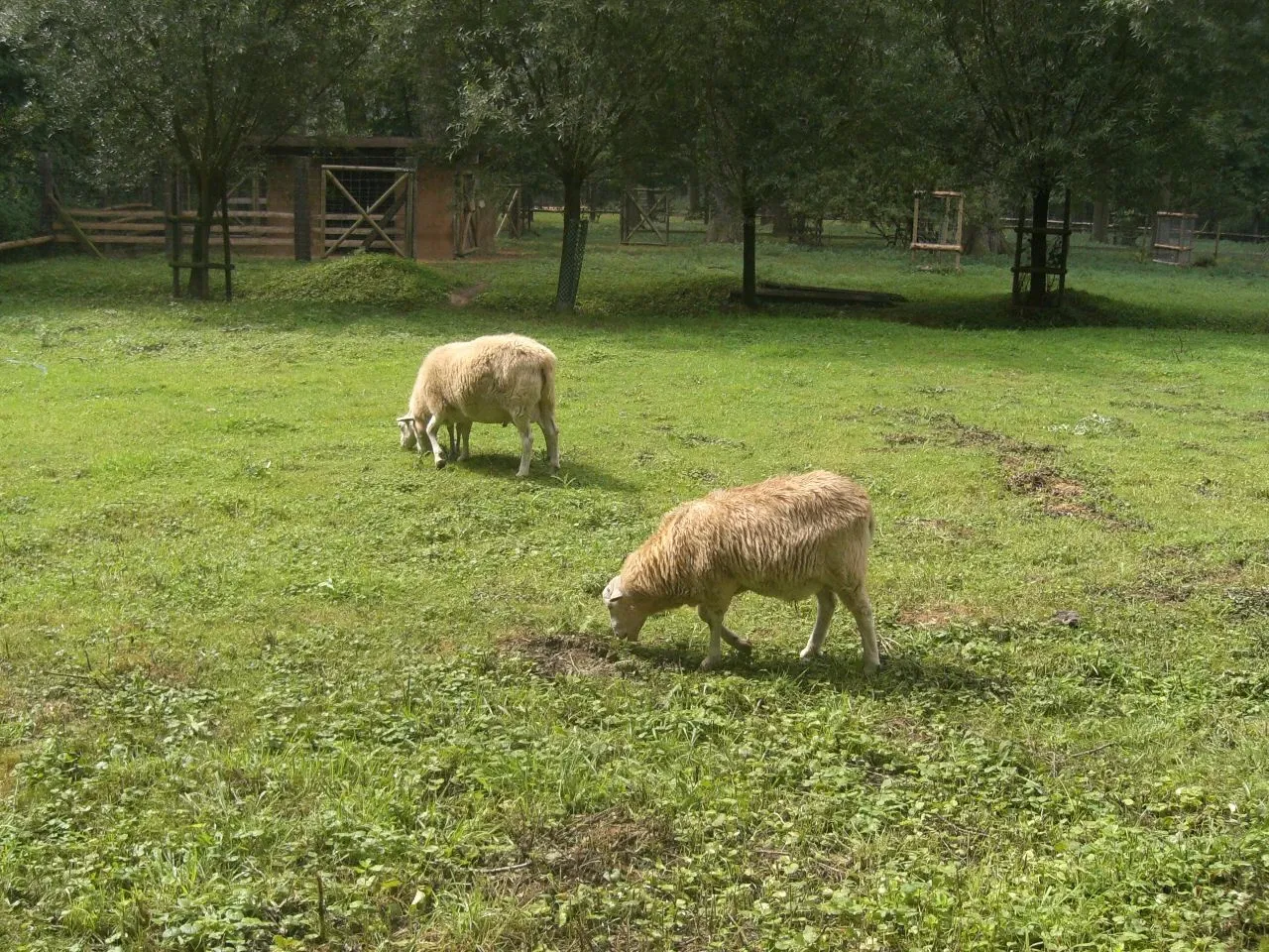 Wildfreigehege Grevenbroich