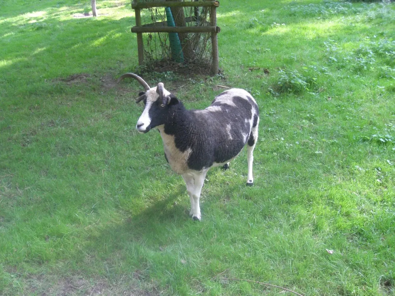 Wildfreigehege Grevenbroich