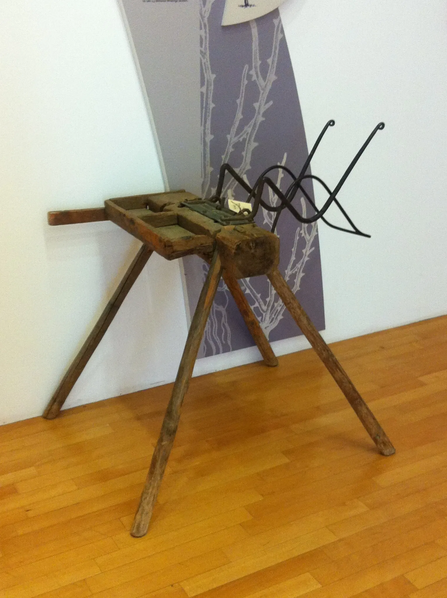 Rosenmuseum Steinfurth