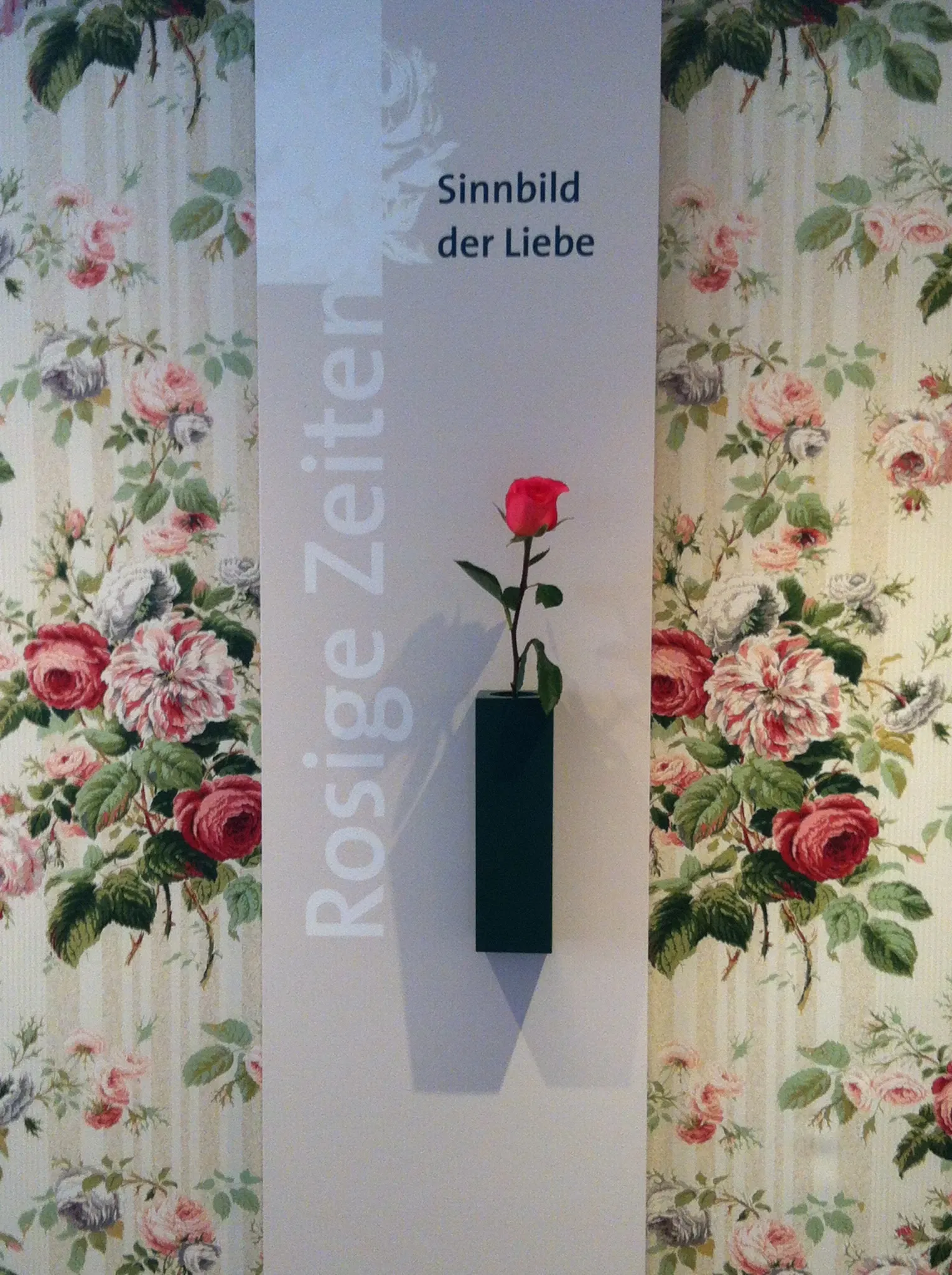 Rosenmuseum Steinfurth