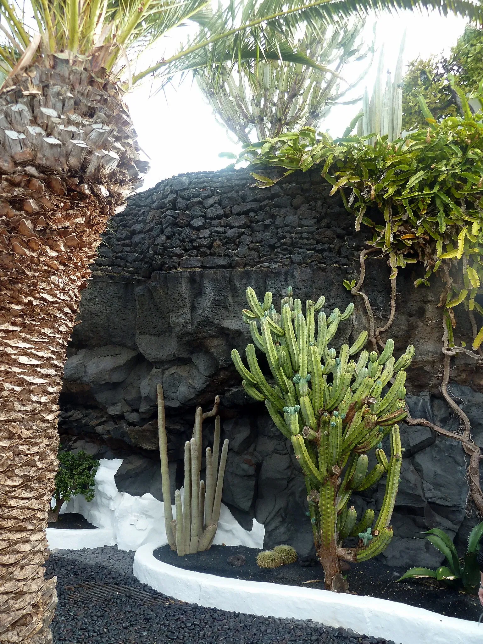 Cesar Manrique Foundation