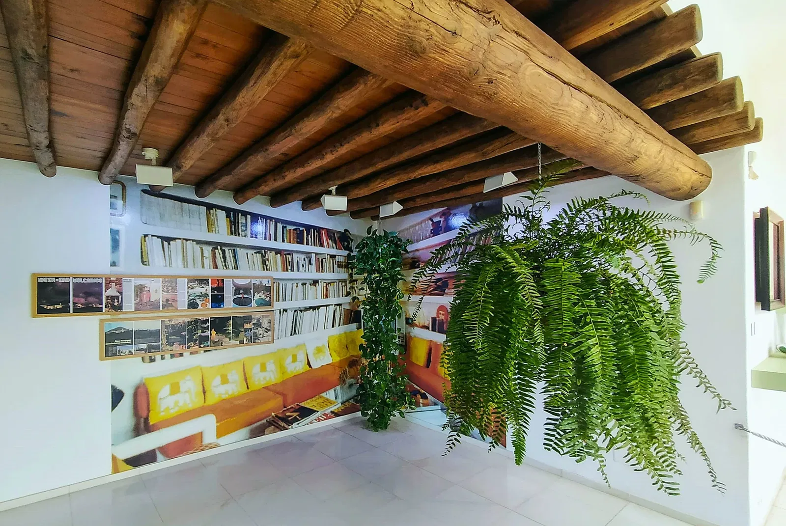 Fundación César Manrique