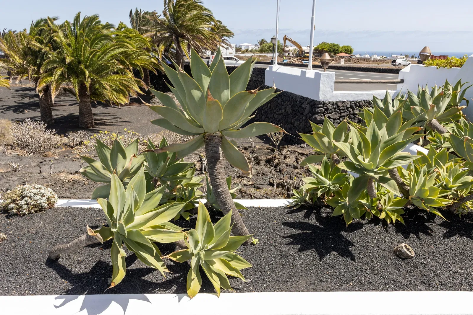 Cesar Manrique Foundation