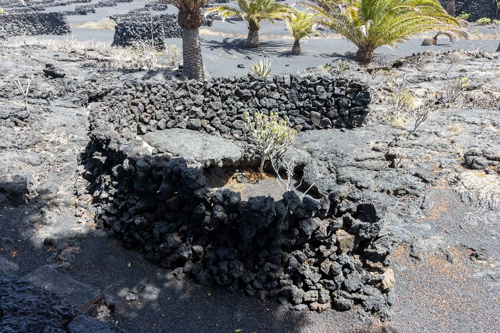 Fundación César Manrique