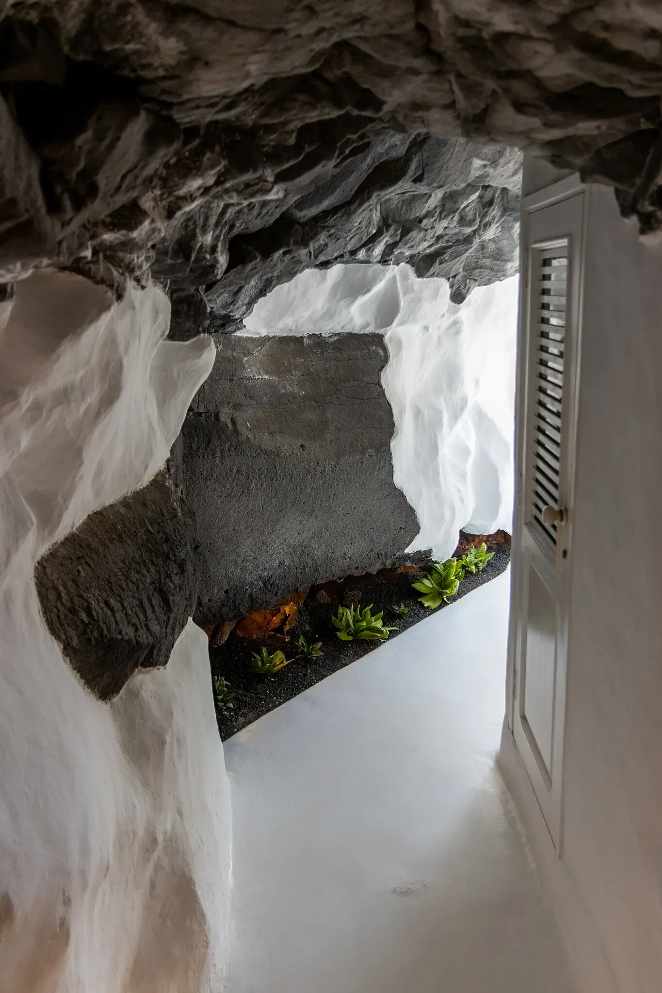 Fundación César Manrique