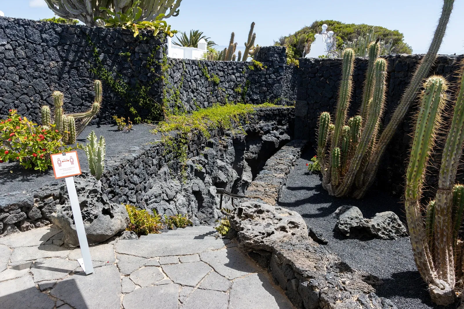 Cesar Manrique Foundation