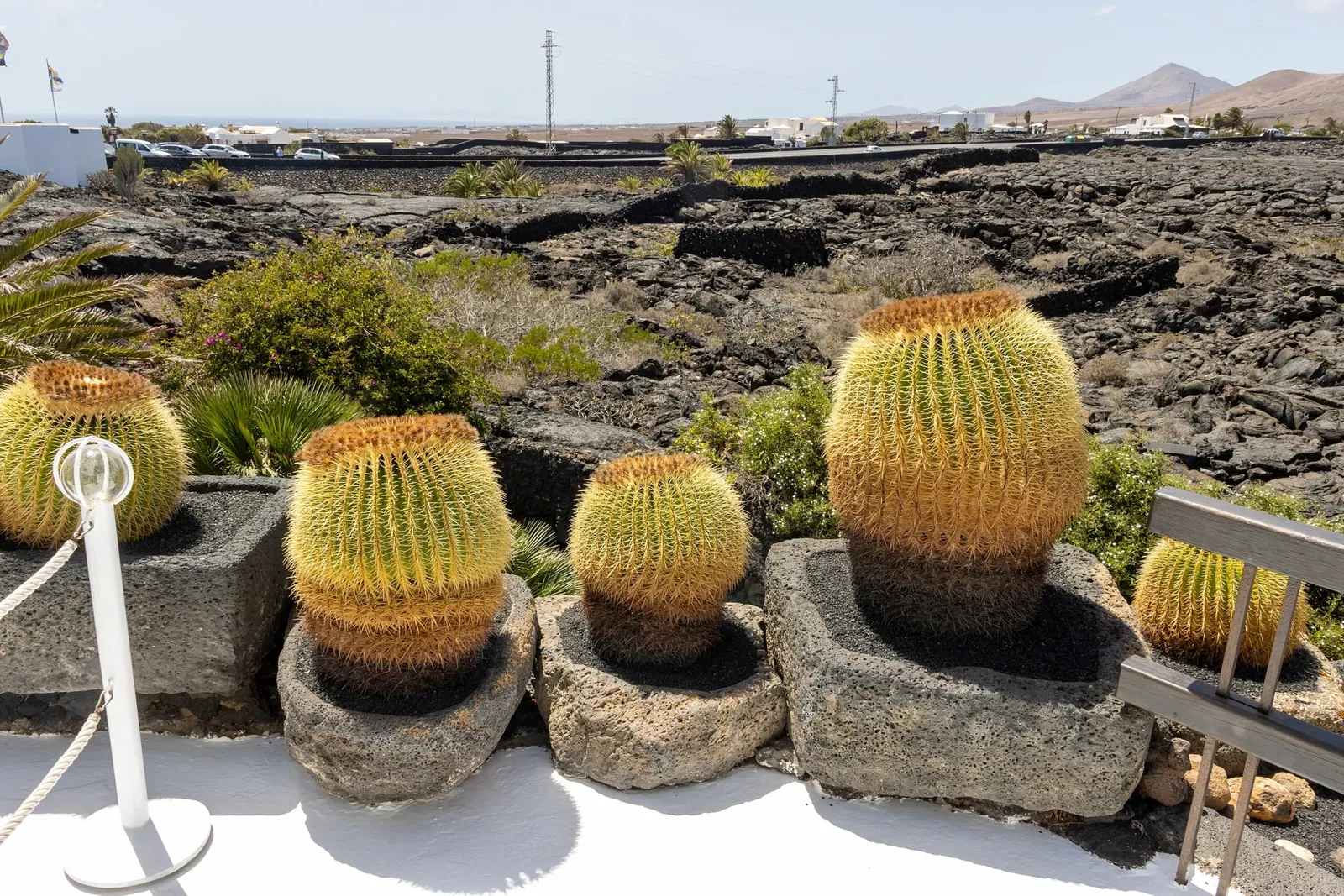 Cesar Manrique Foundation