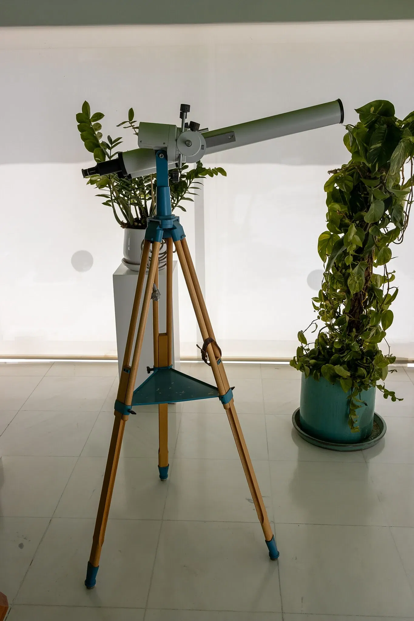 Cesar Manrique Foundation