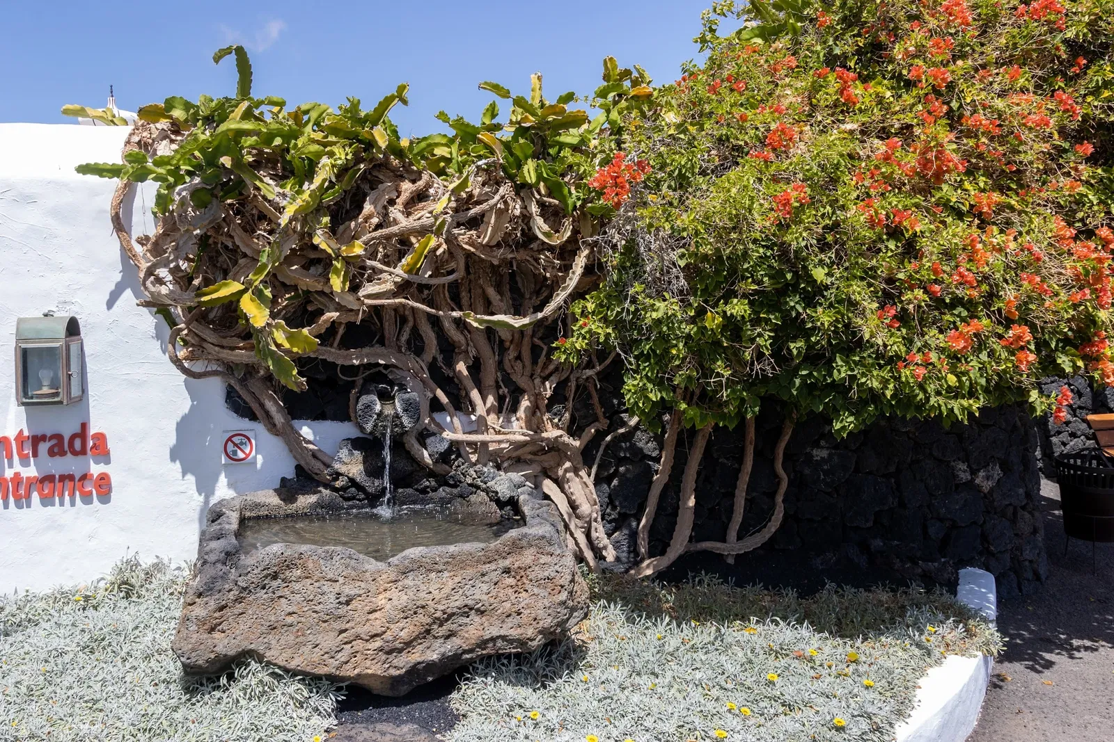 Fundación César Manrique