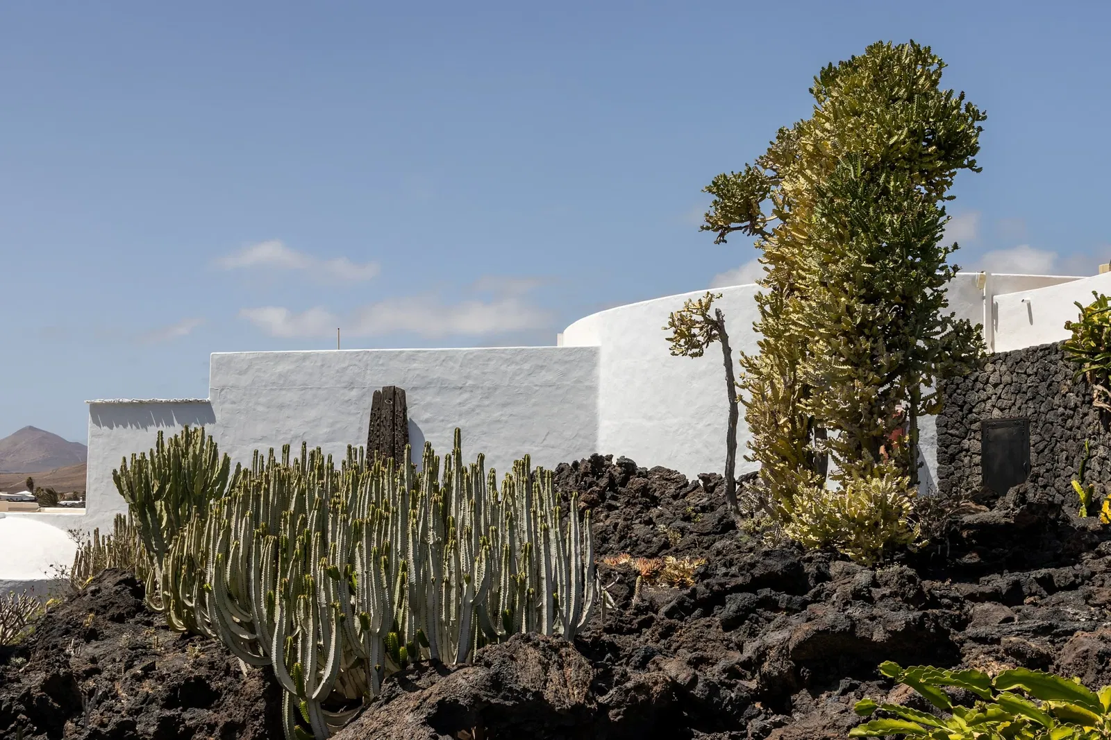 Cesar Manrique Foundation