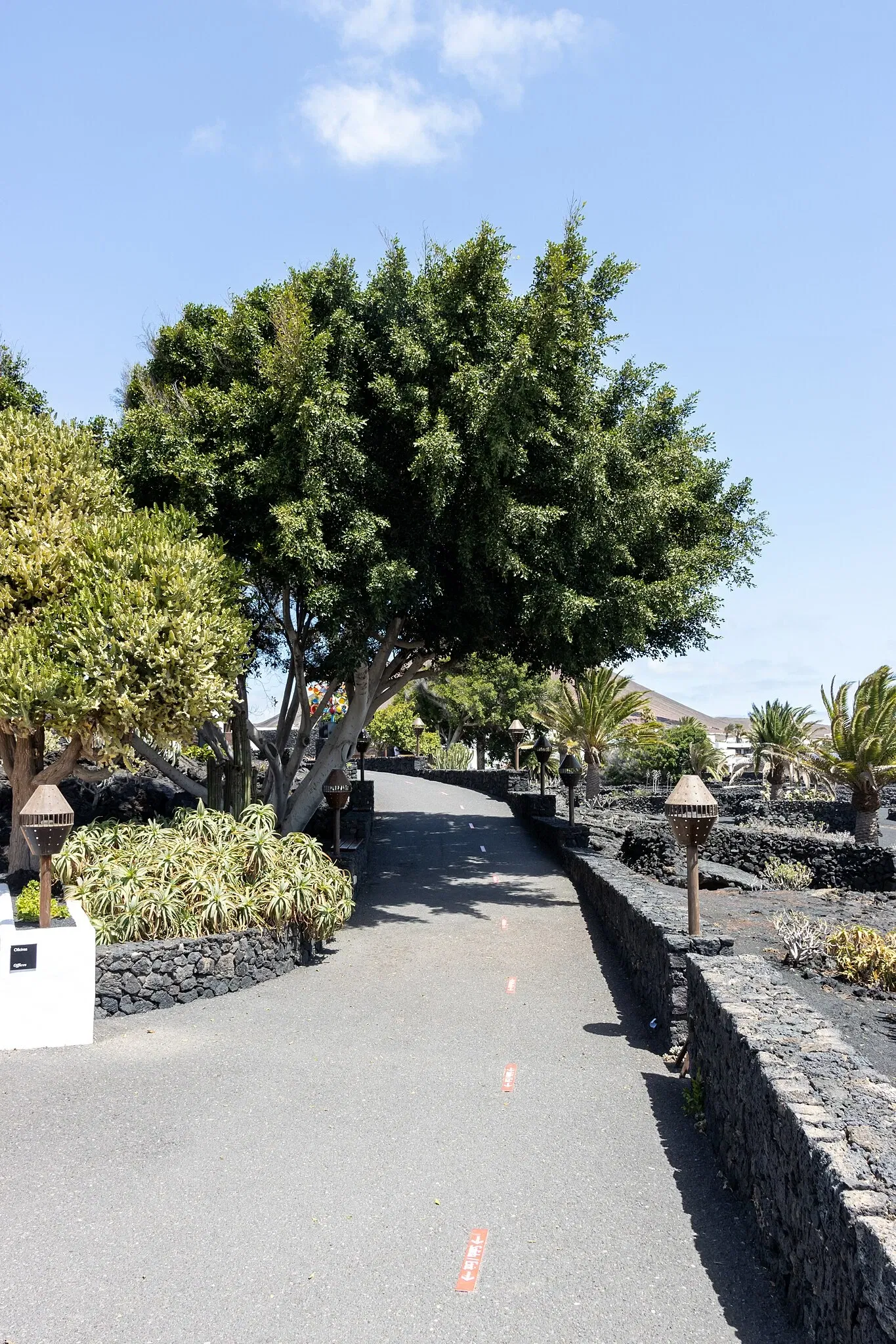 Cesar Manrique Foundation