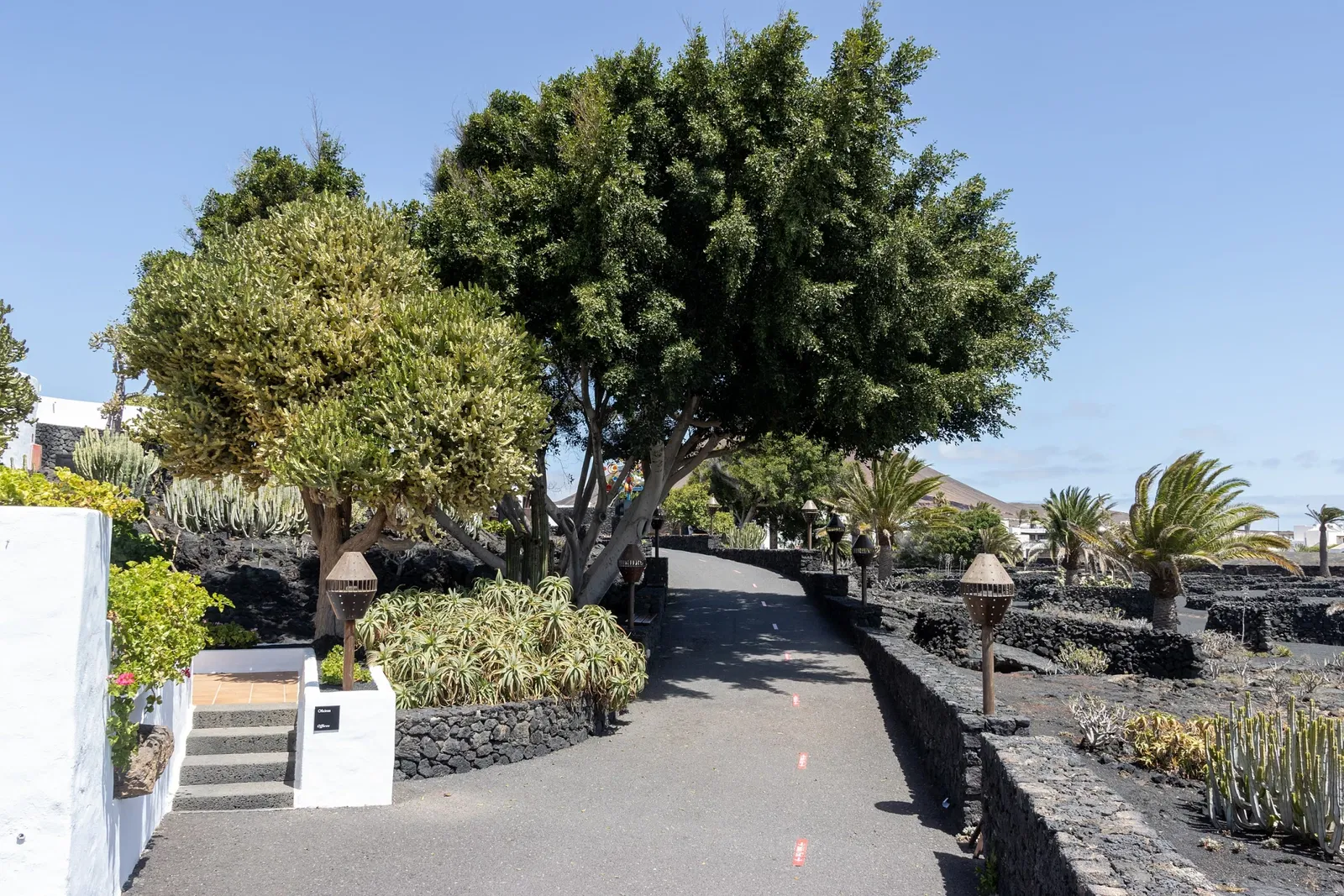 Cesar Manrique Foundation