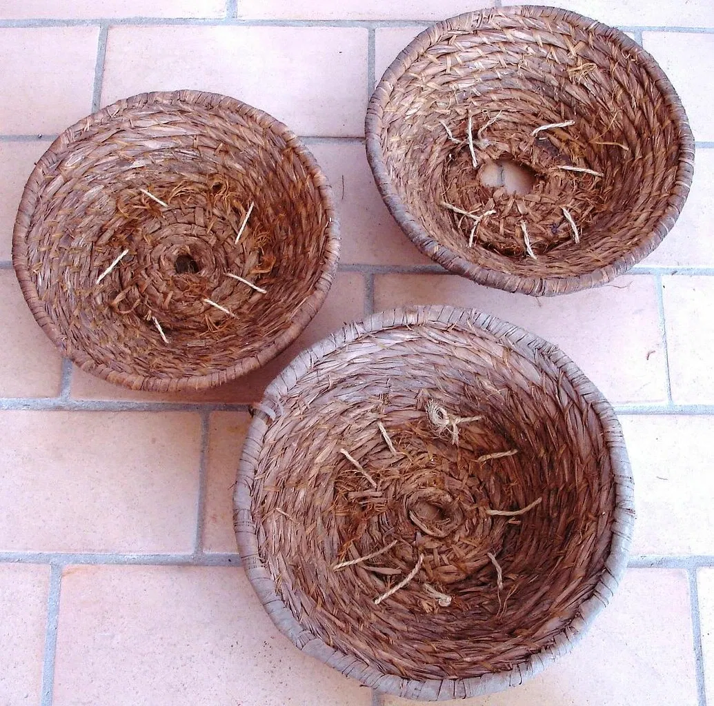 Écomusée-Farinière de Castelló d'Empúries