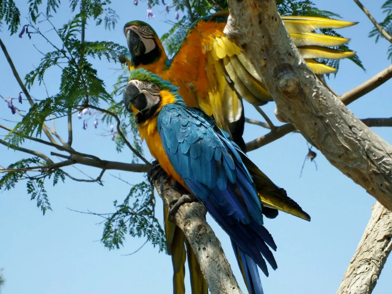 Mundomar Animal Park