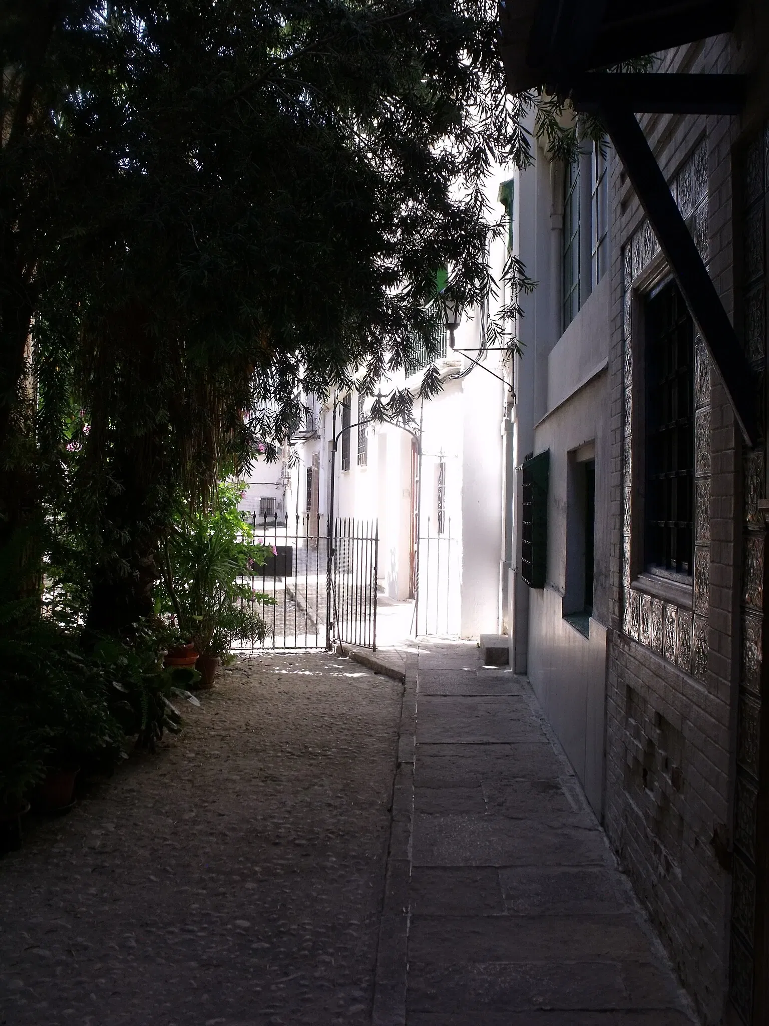 Casa-Museo José Segrelles