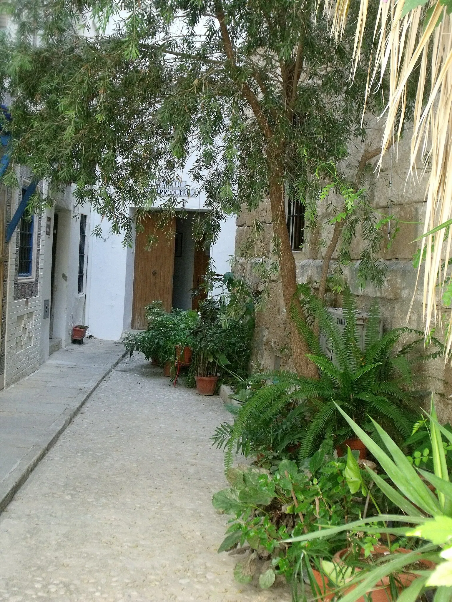 José Segrelles House-Museum