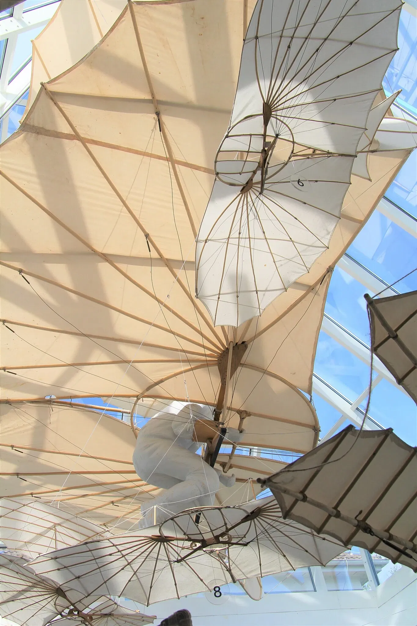 Museo Otto Lilienthal