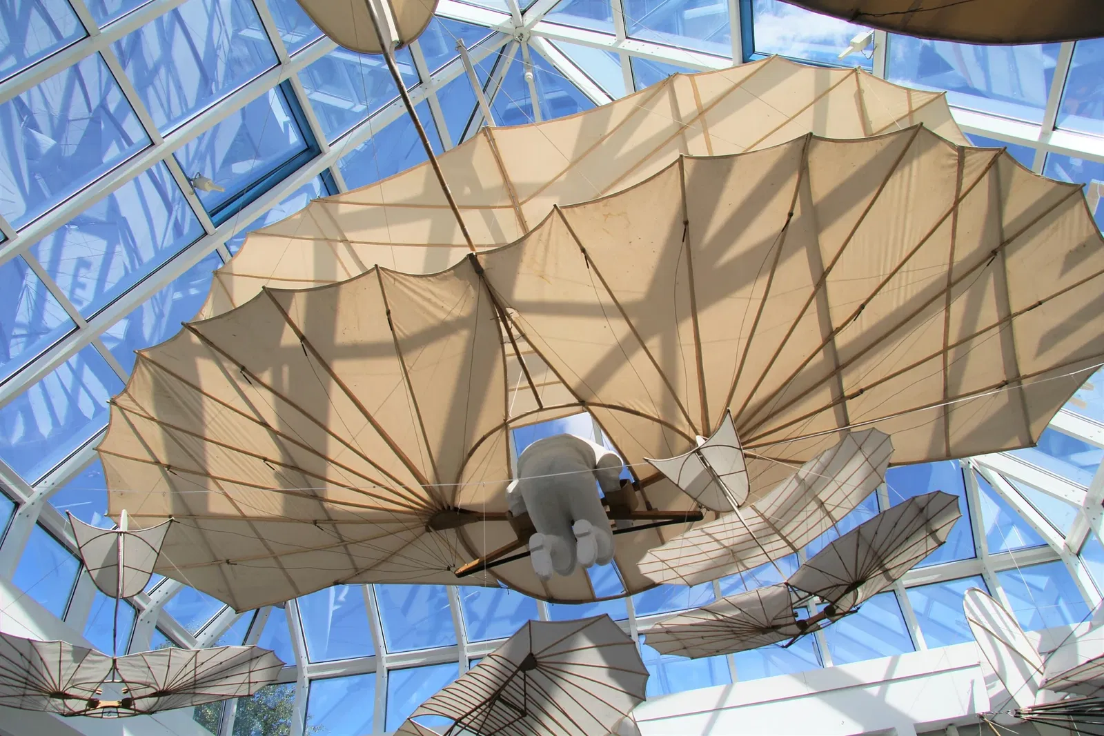 Museo Otto Lilienthal