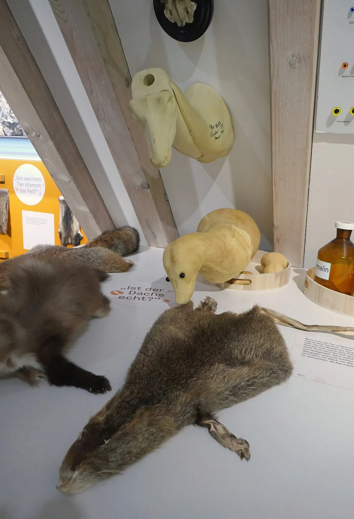 Museum im Ritterhaus