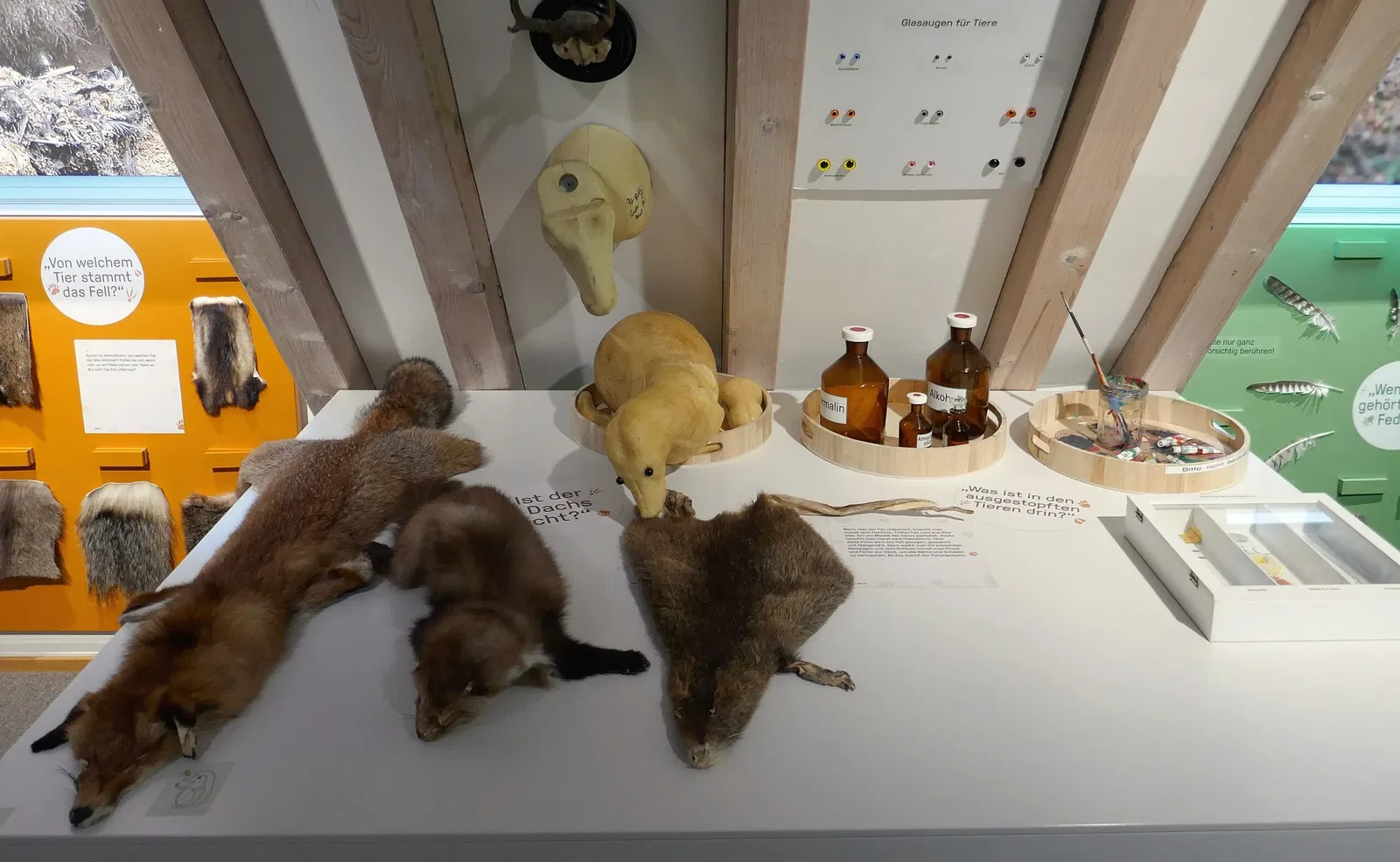 Museum im Ritterhaus