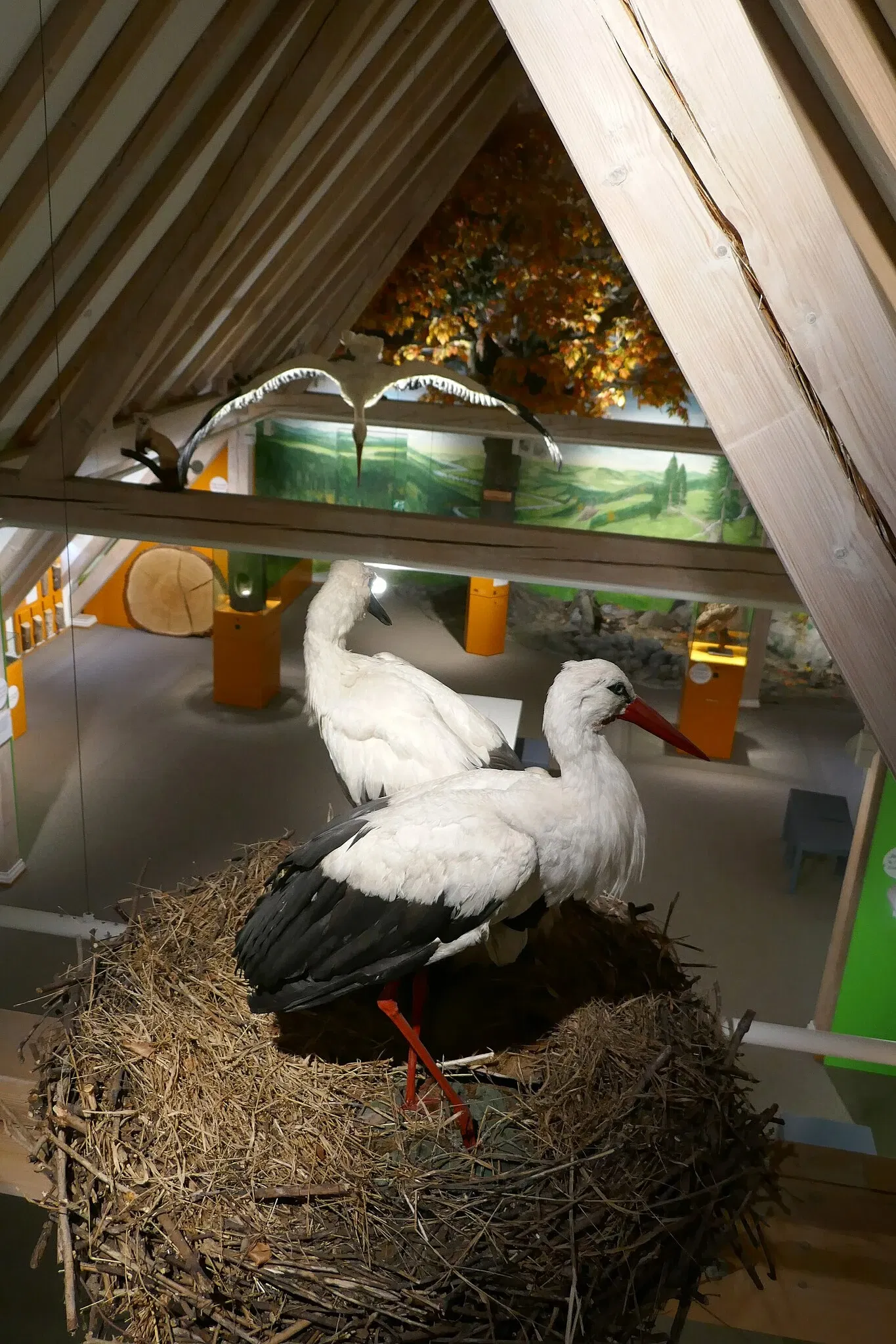 Museum im Ritterhaus