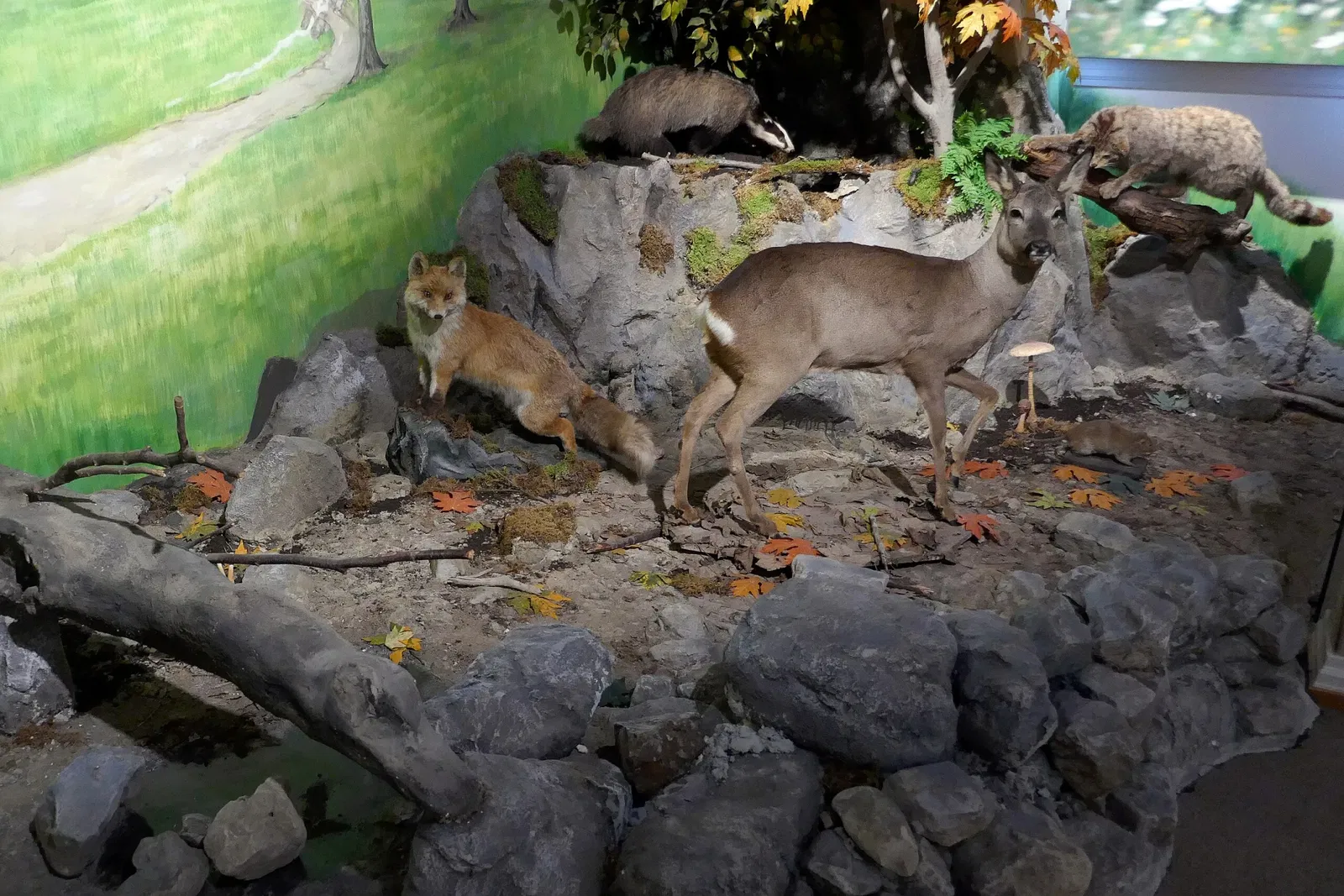 Museum im Ritterhaus
