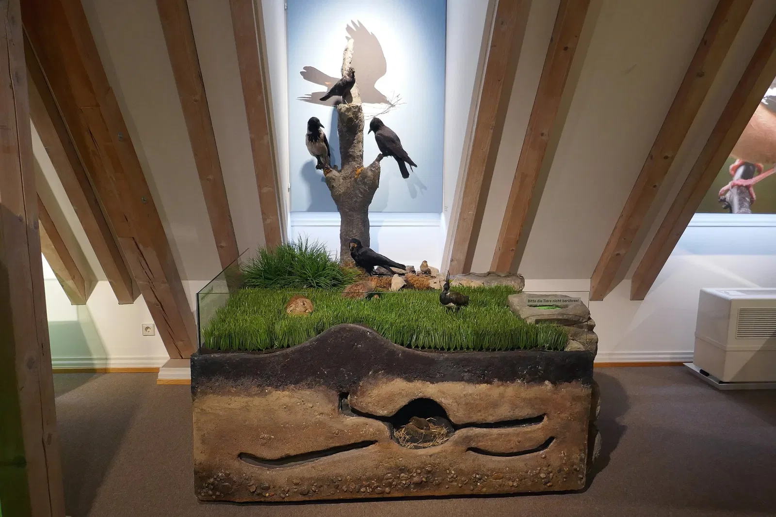 Museum im Ritterhaus